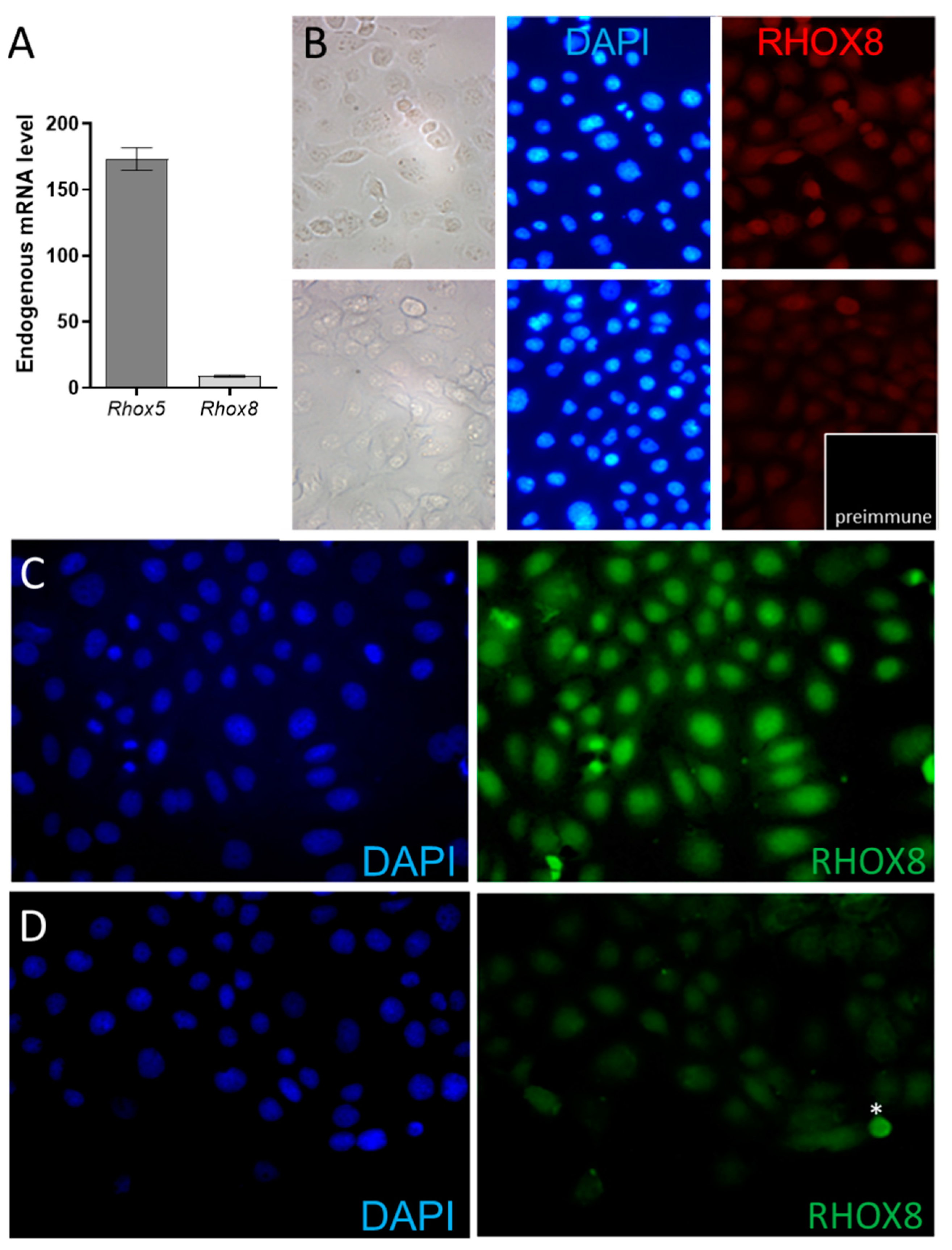 Preprints 149783 g003