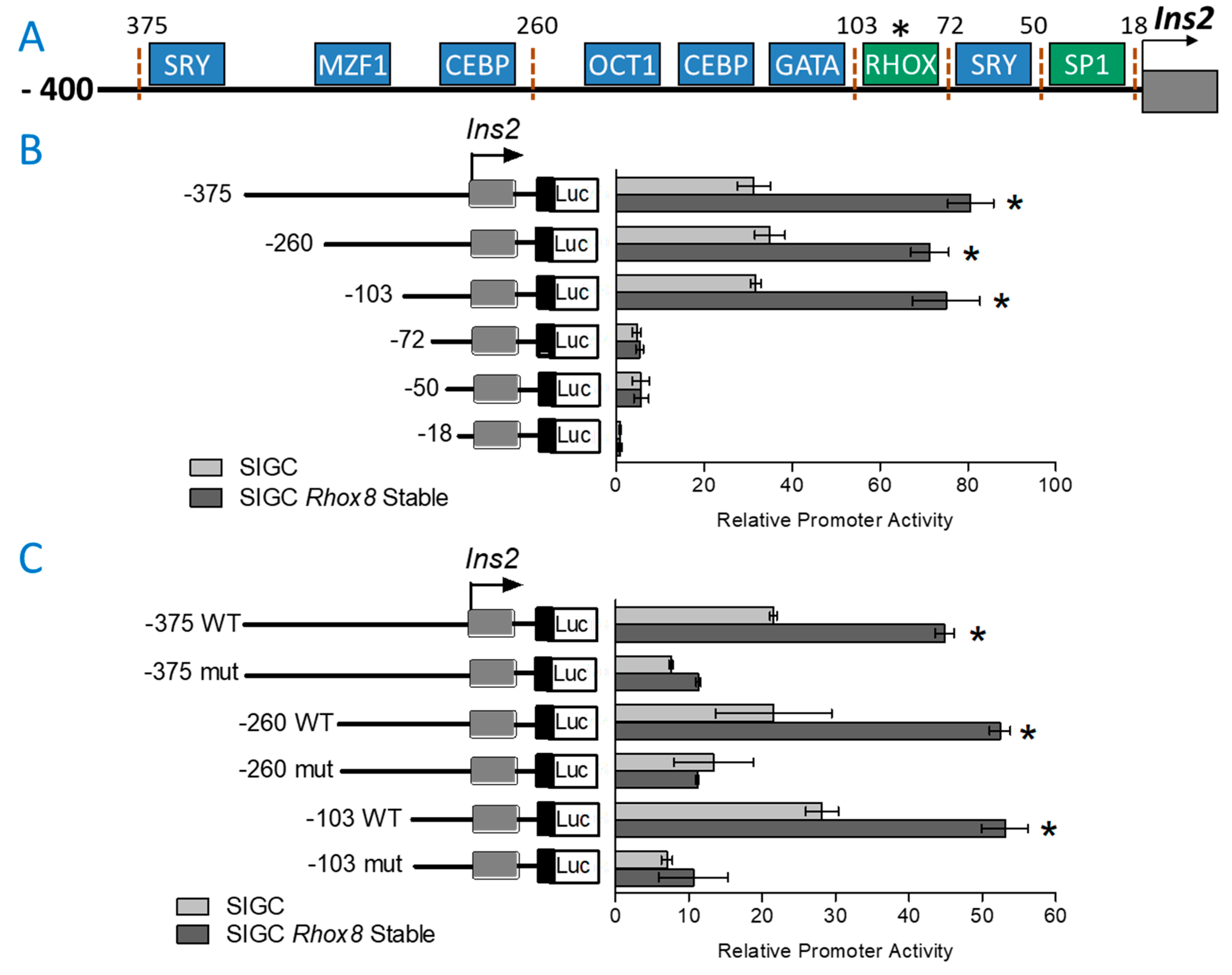 Preprints 149783 g004