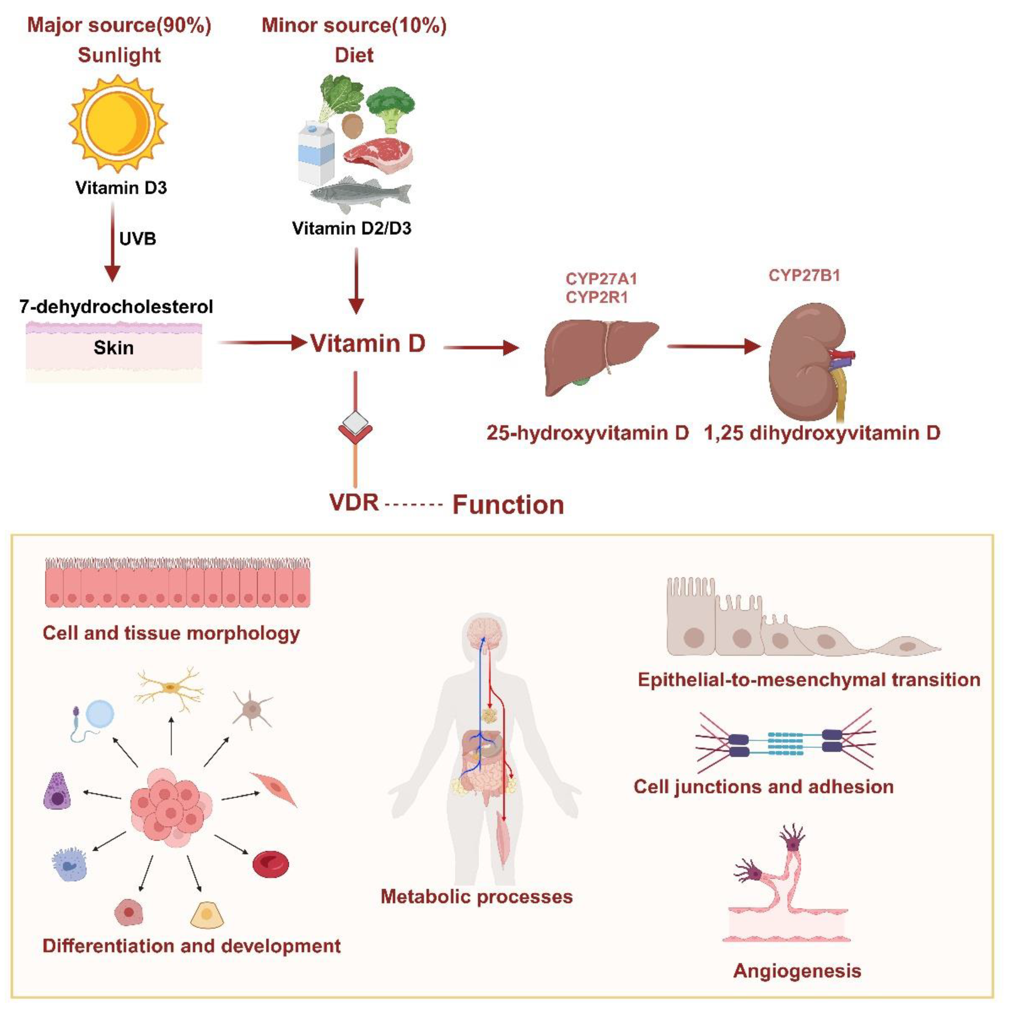 Preprints 162016 g001