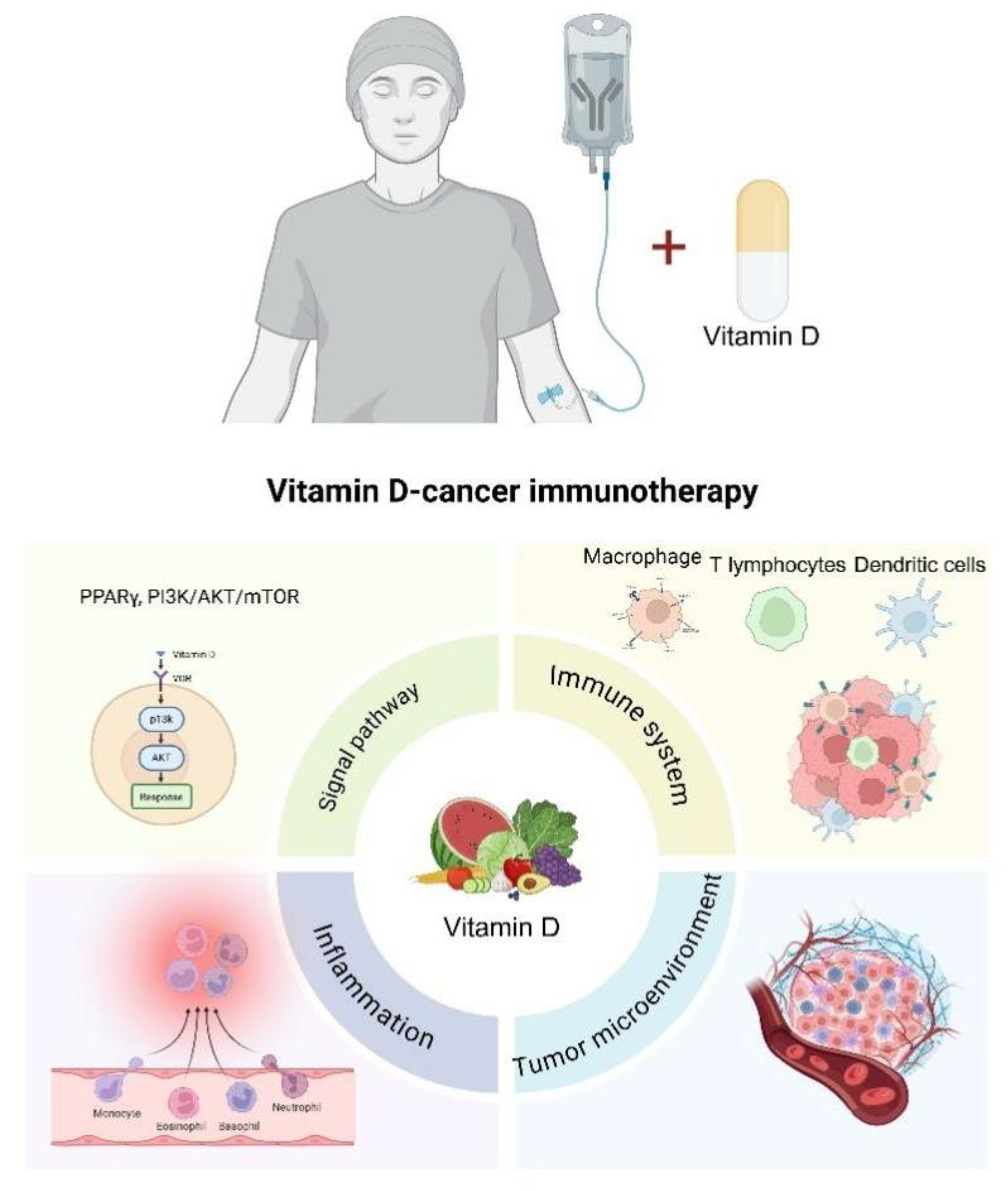 Preprints 162016 g002