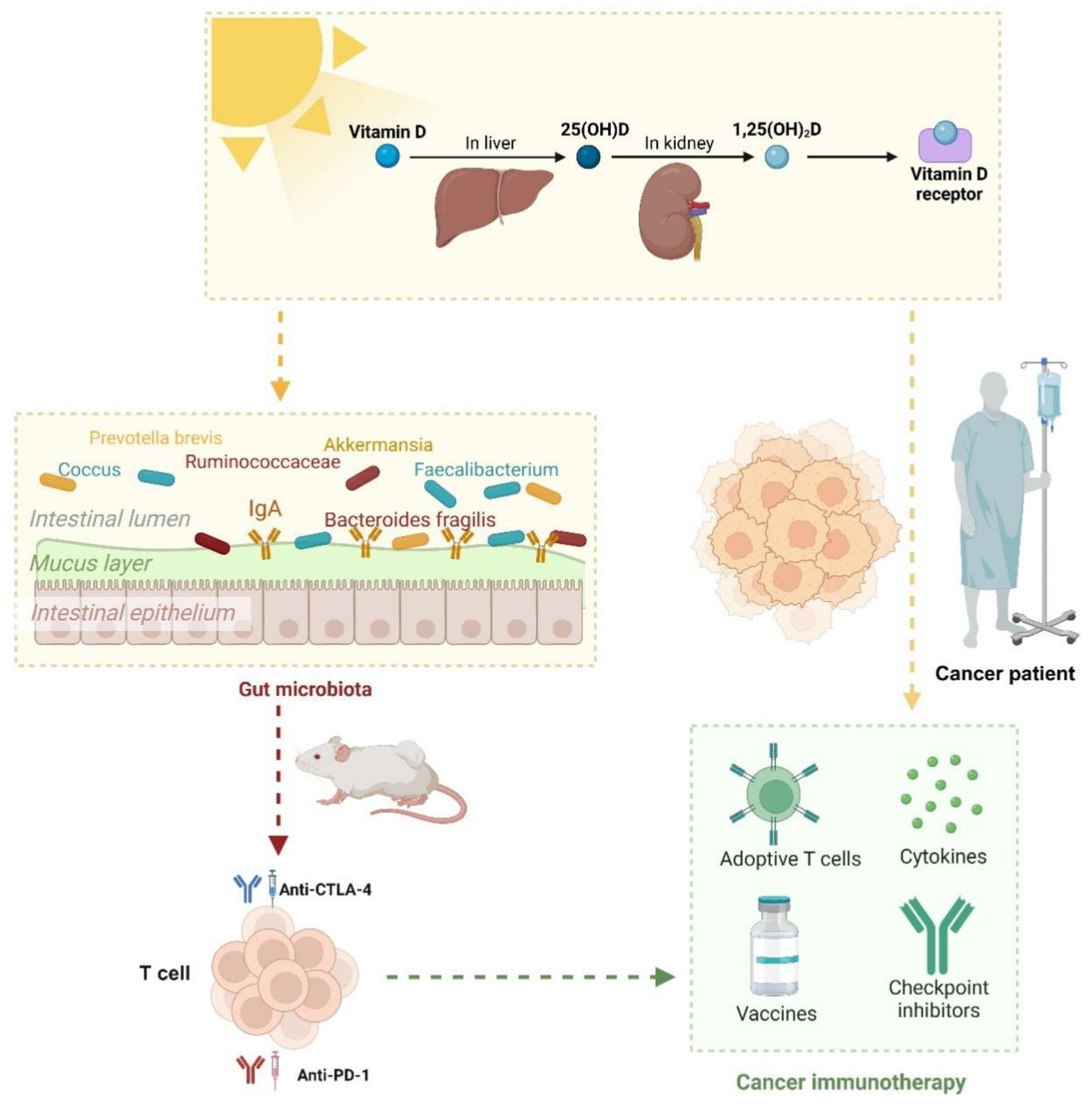 Preprints 162016 g005