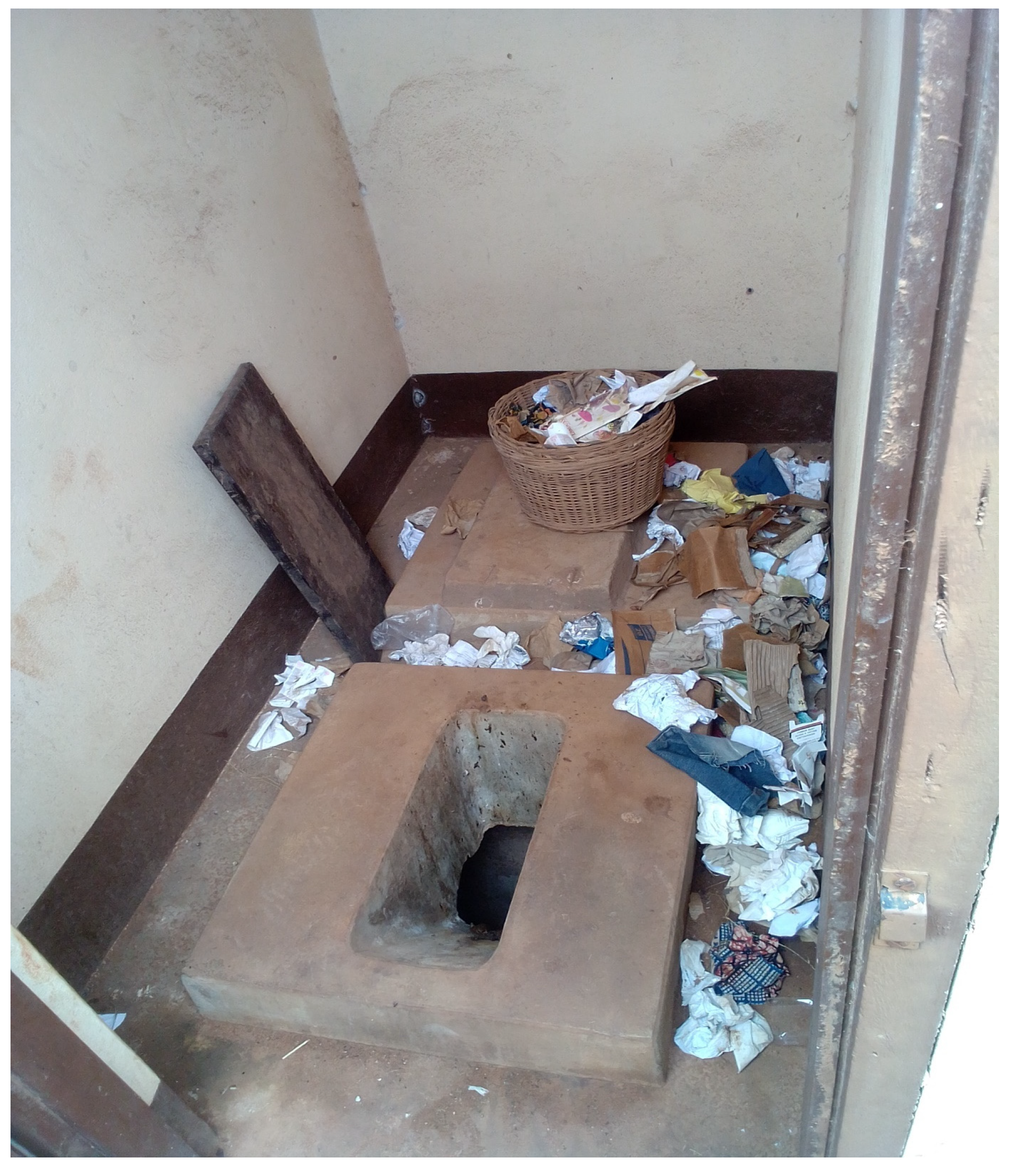 Preprints 80724 g005