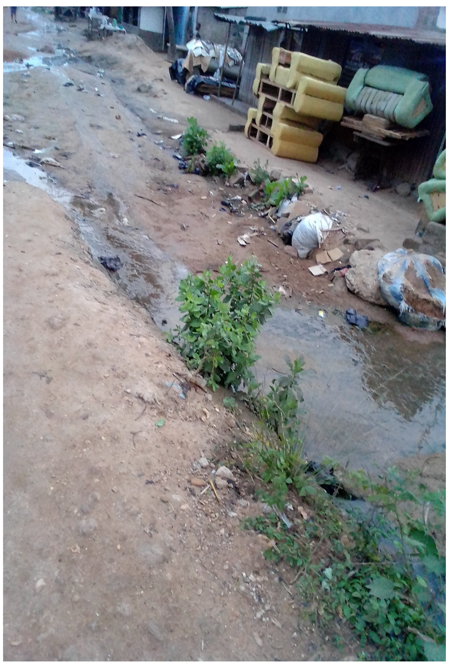 Preprints 80724 g006