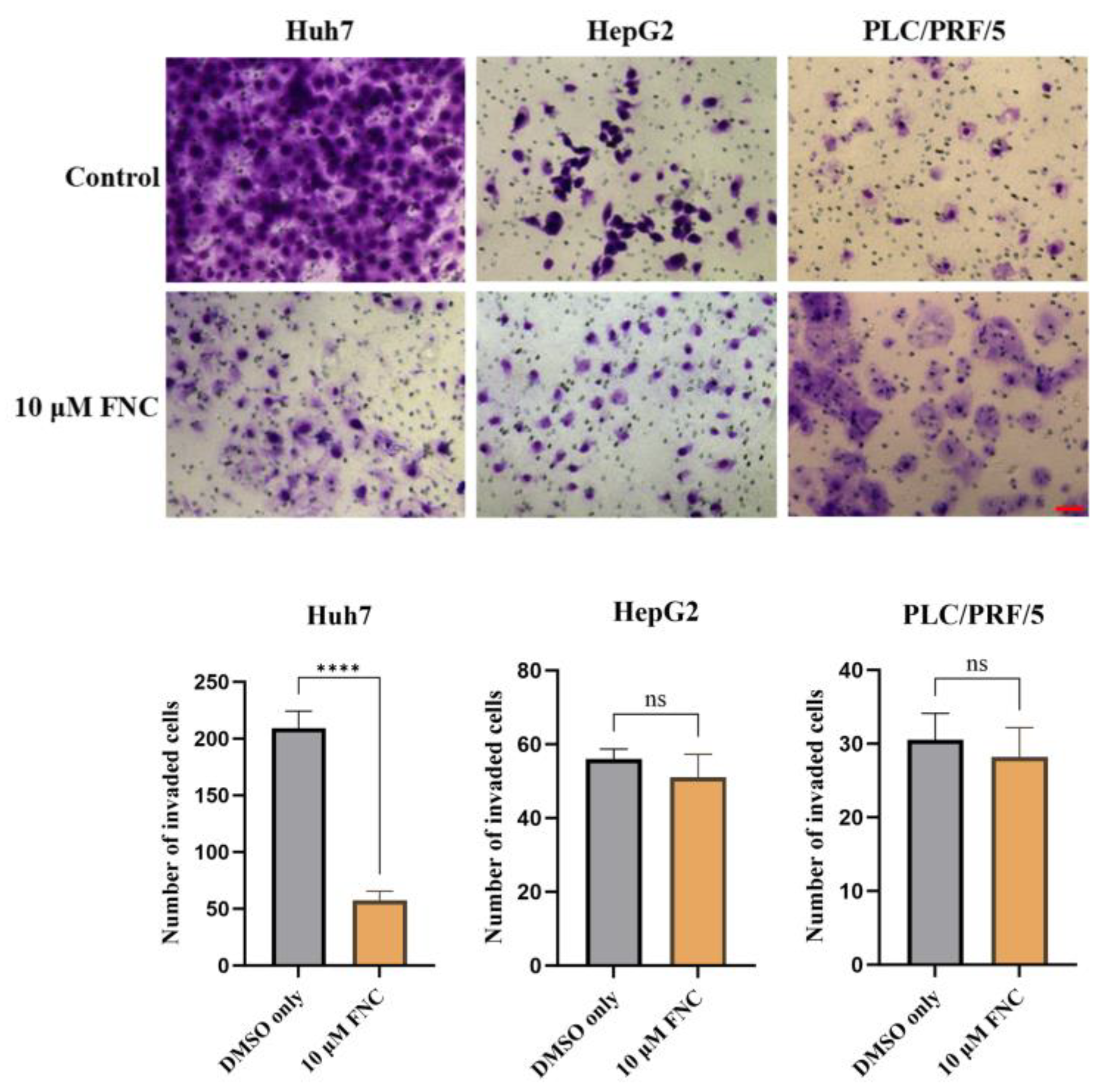 Preprints 153045 g001