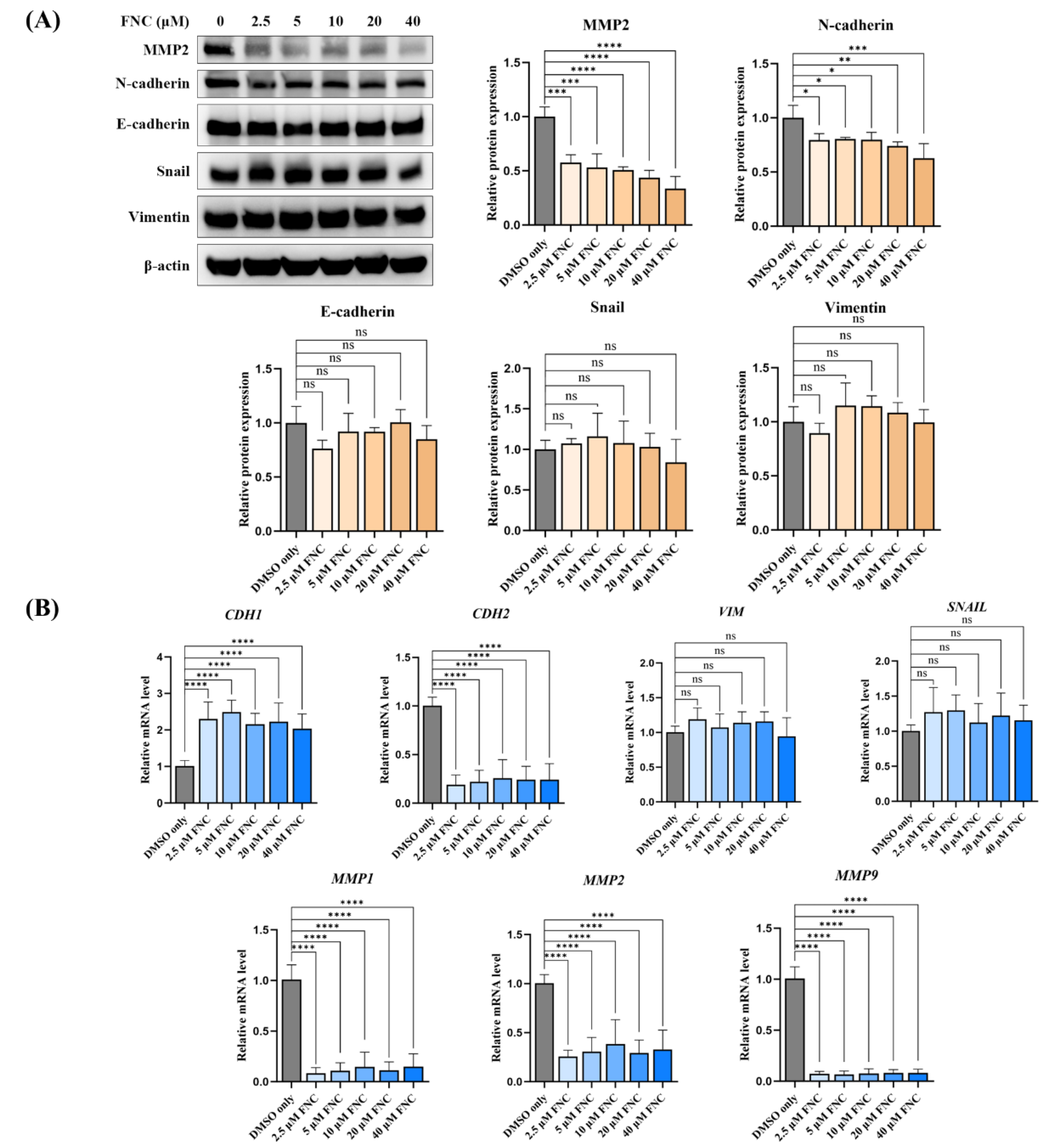 Preprints 153045 g003