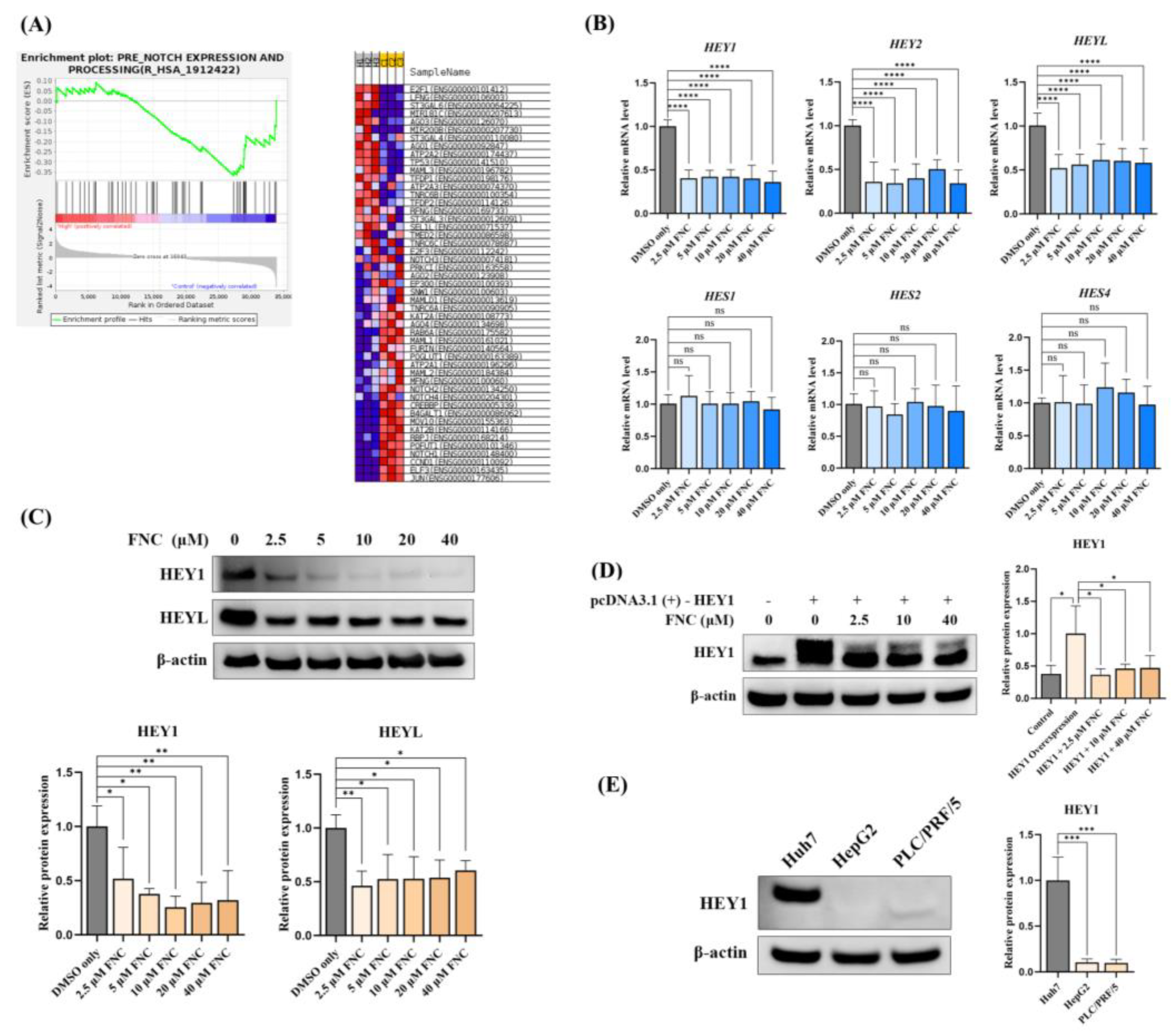 Preprints 153045 g005