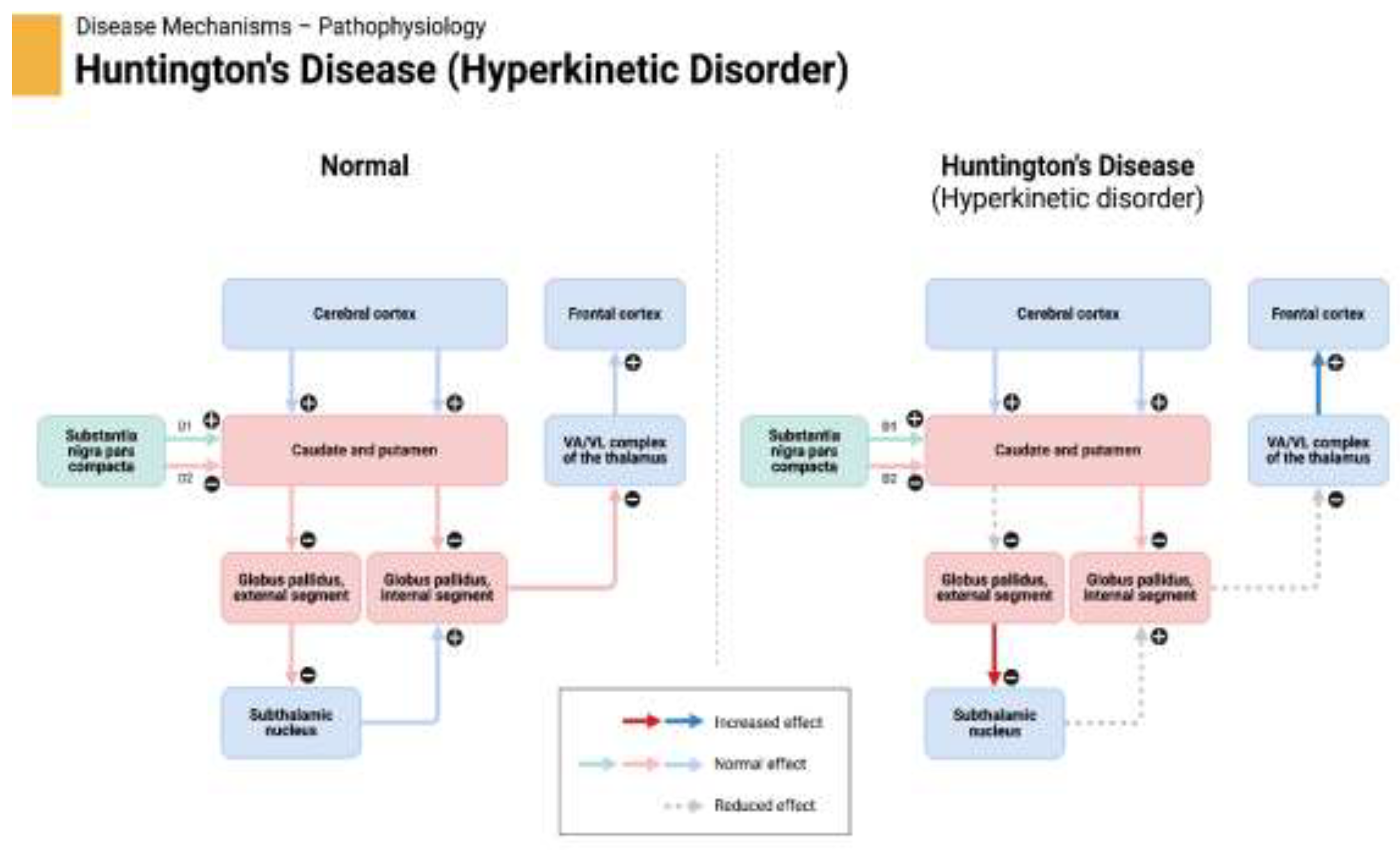 Preprints 141738 g001