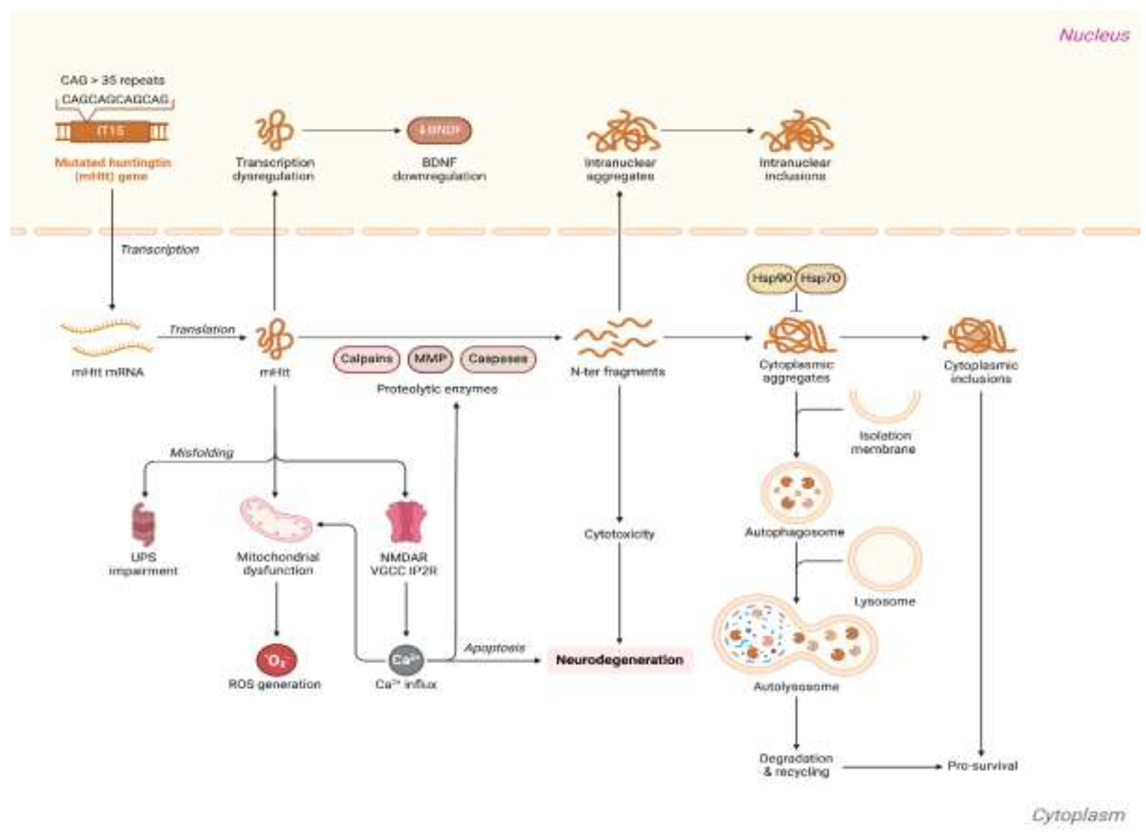 Preprints 141738 g002