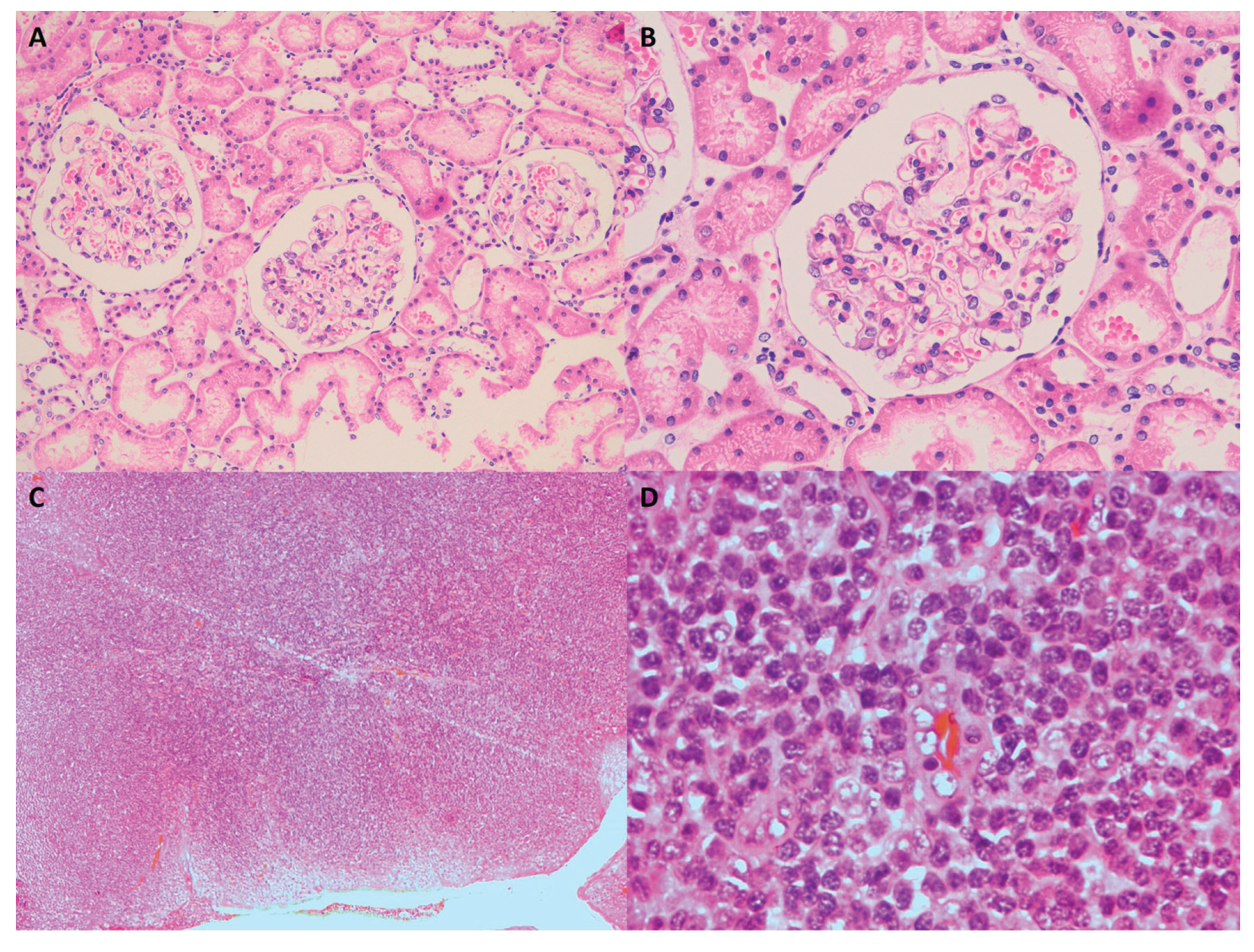 Preprints 197669 g001