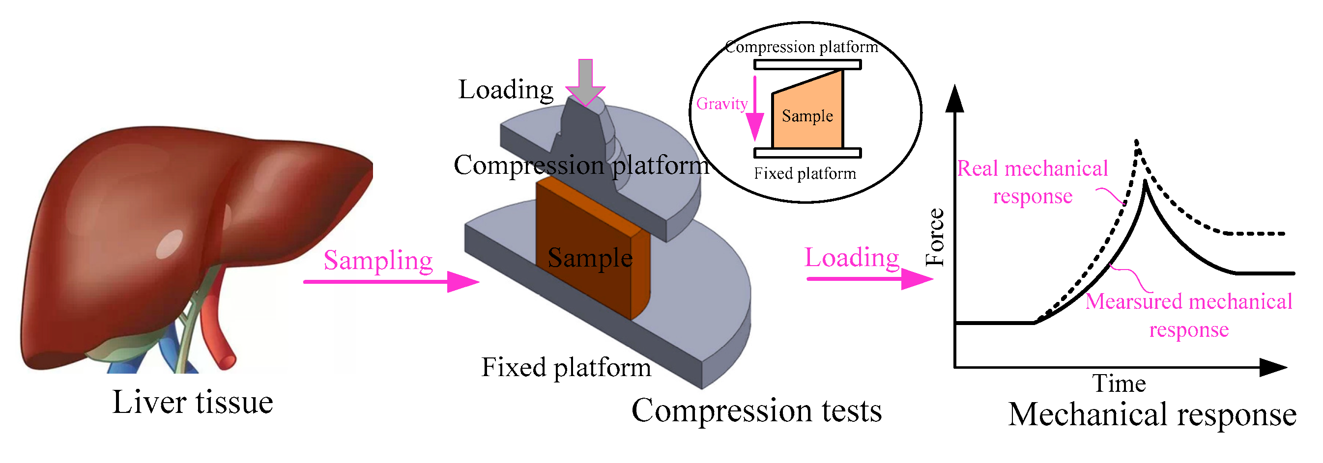 Preprints 176492 g001