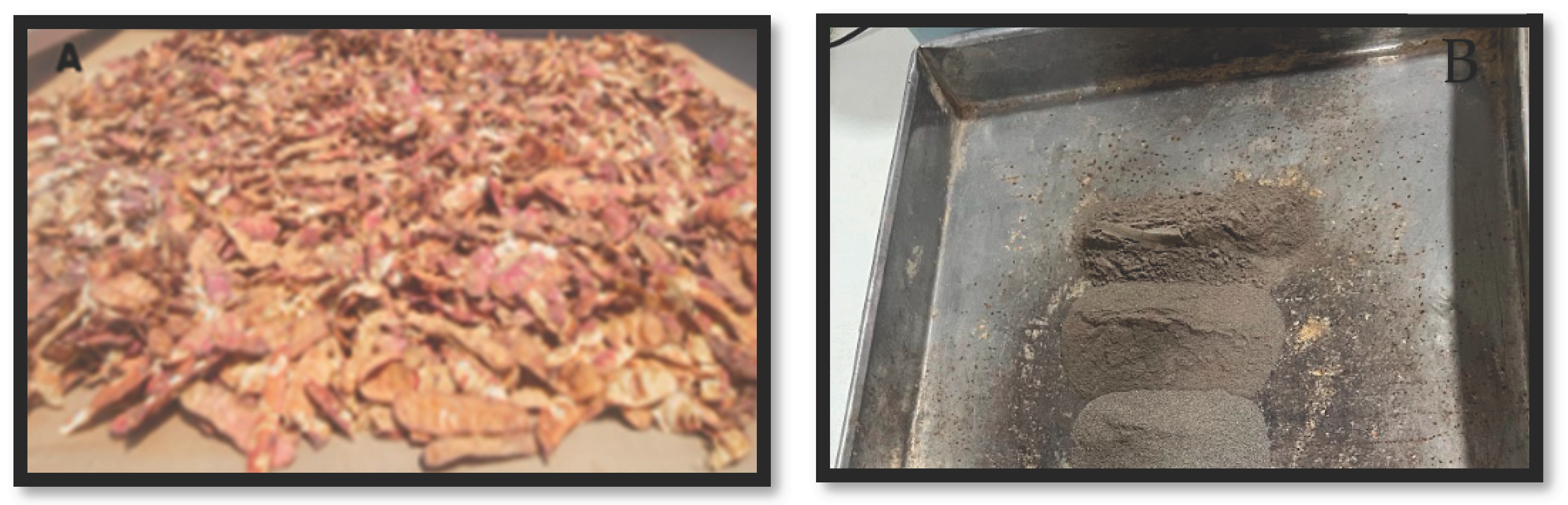 Preprints 166660 g001