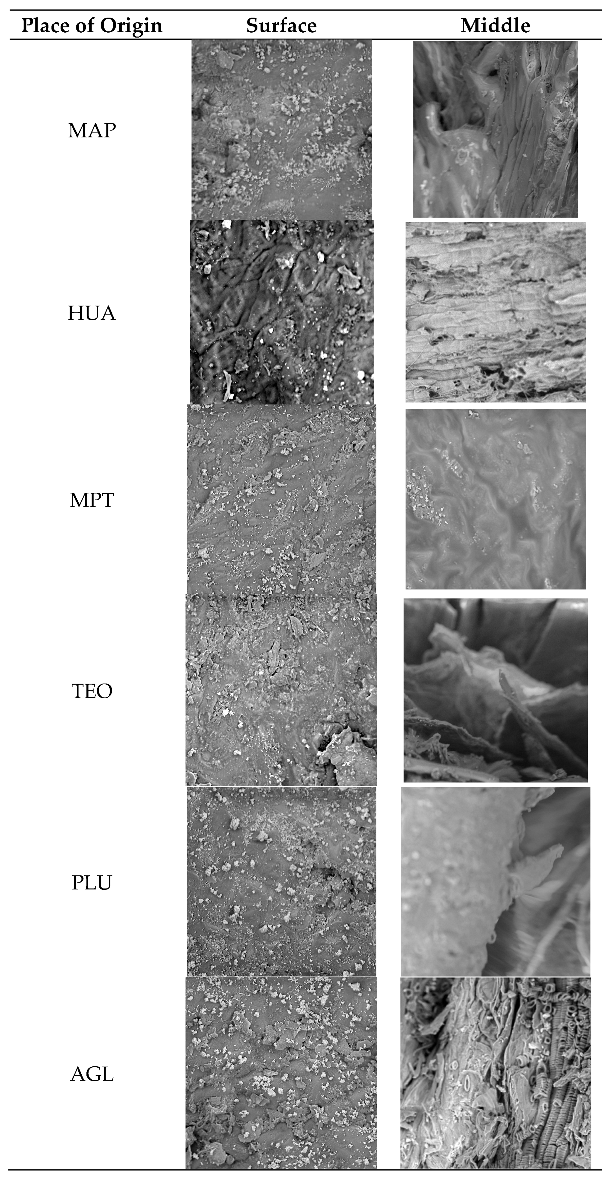Preprints 105533 g002