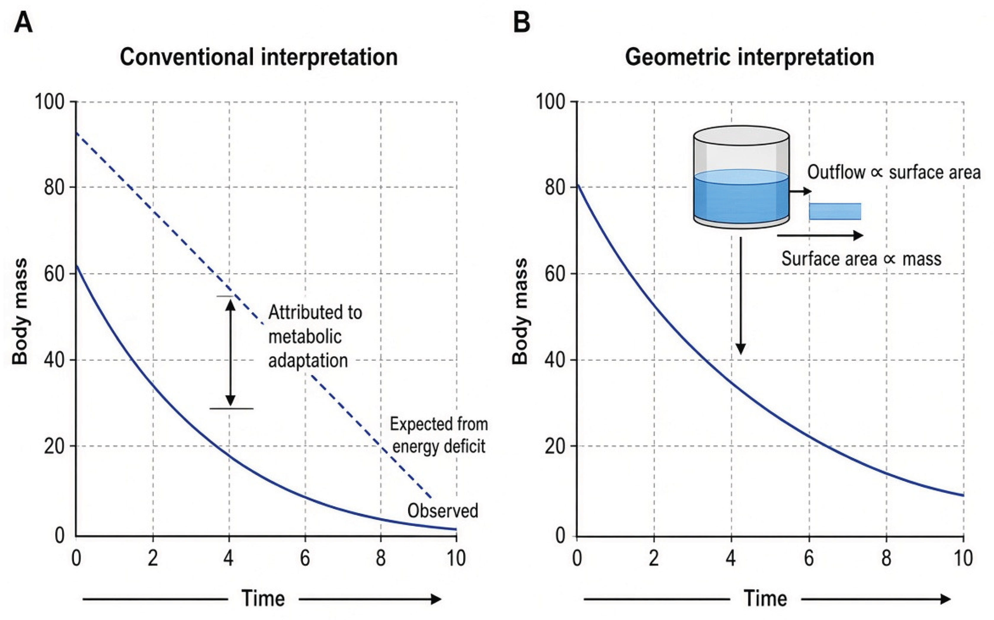 Preprints 235177 g001 Preprints 235177 g001