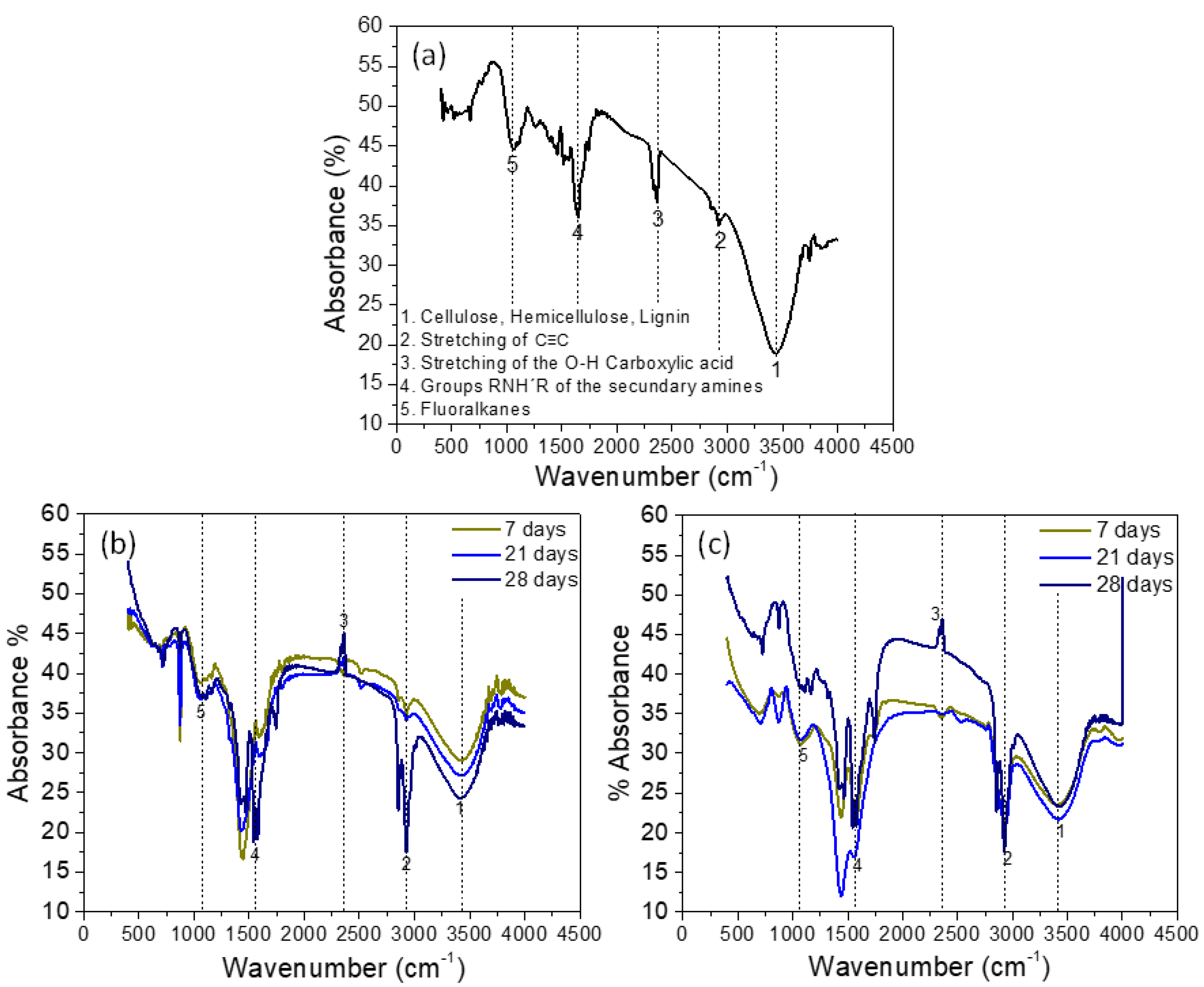 Preprints 148960 g004