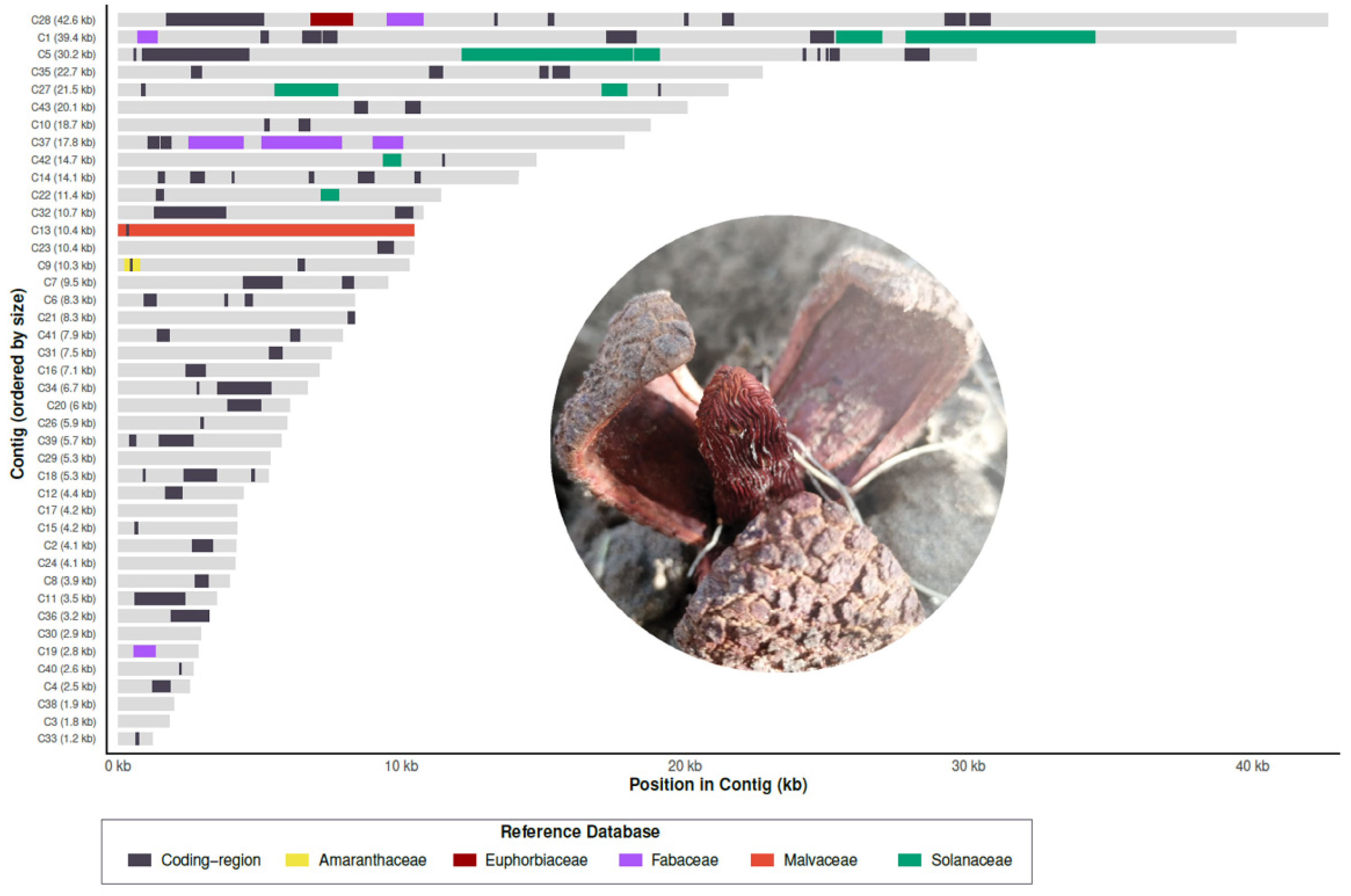 Preprints 198655 g001