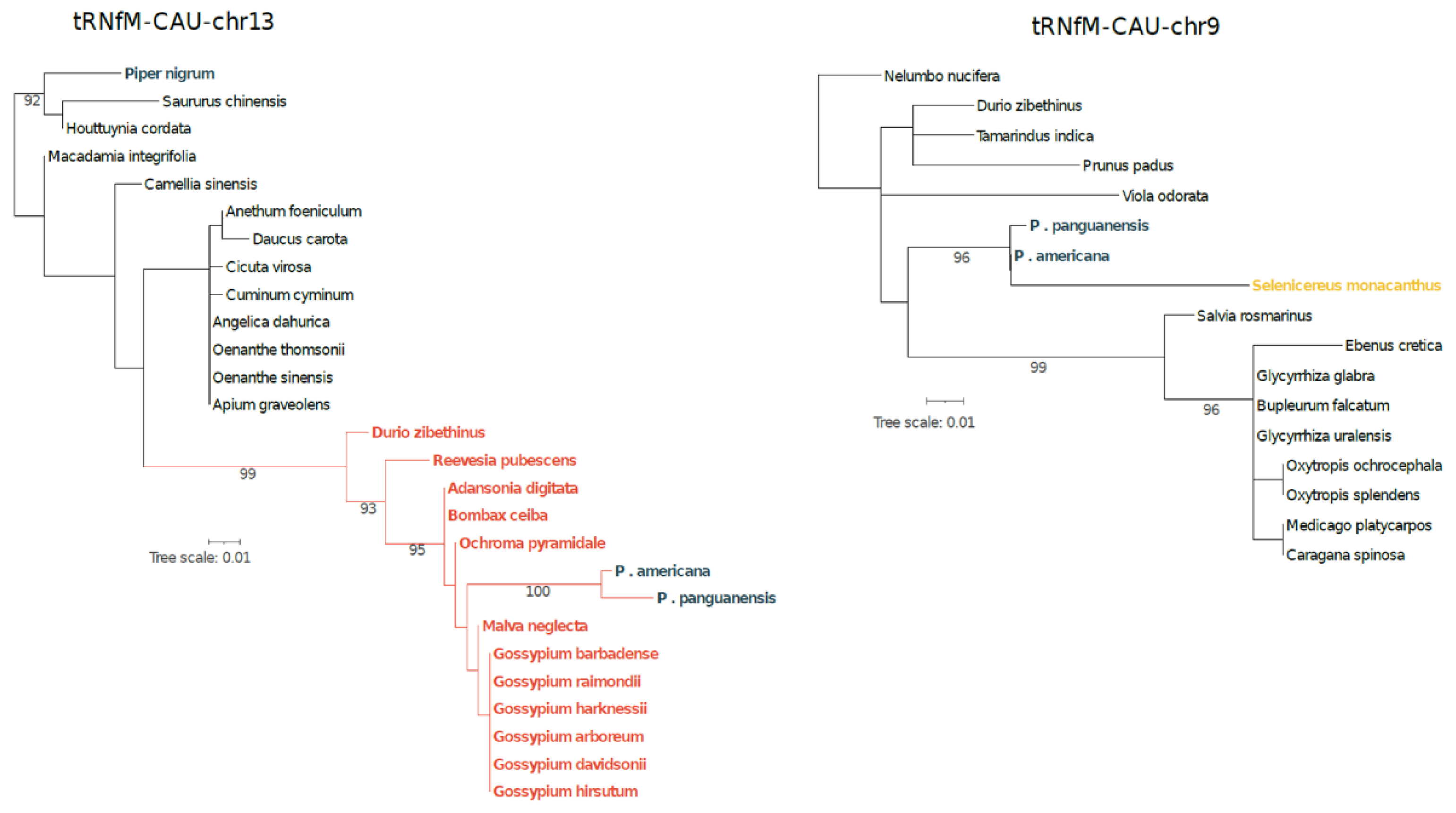 Preprints 198655 g002