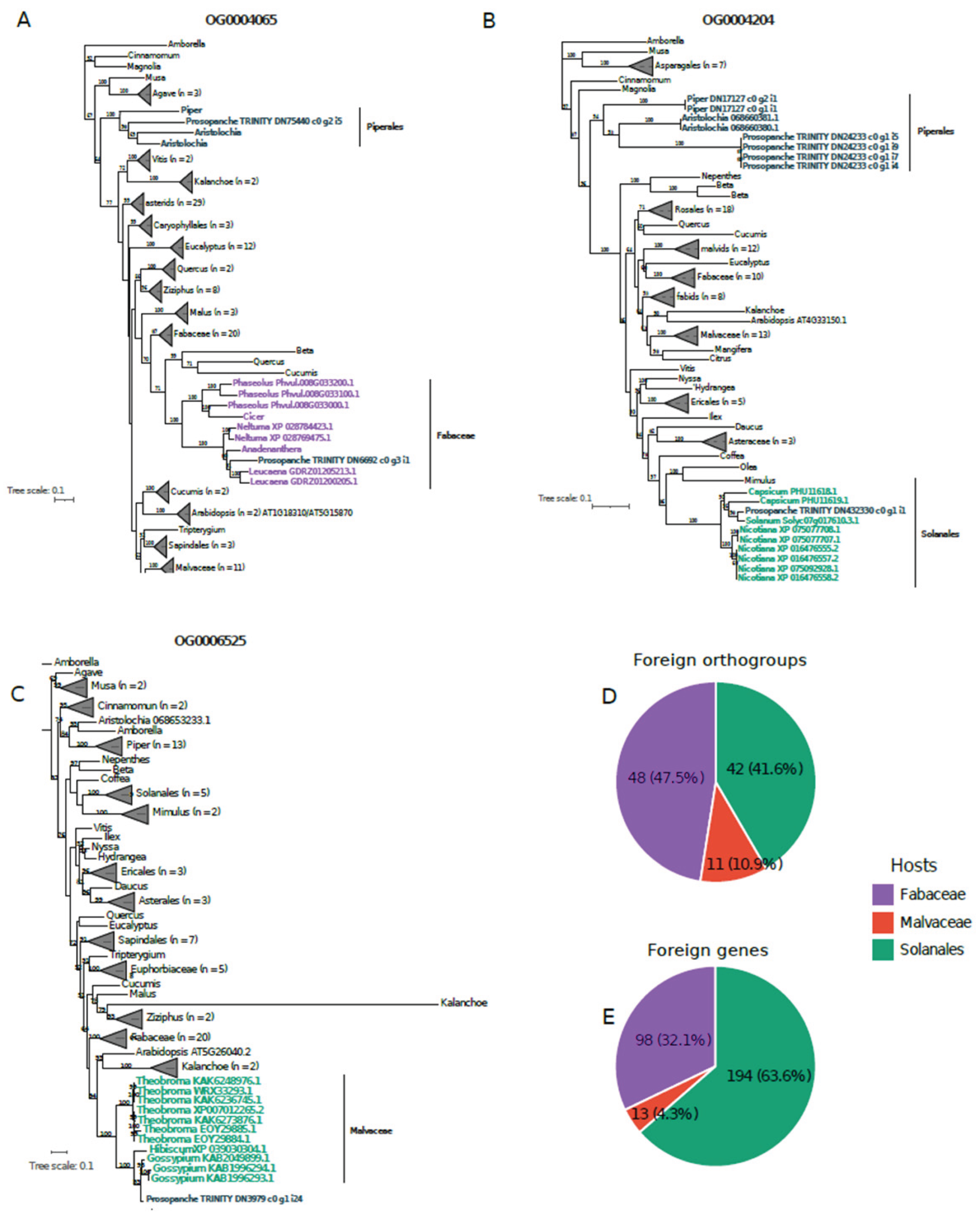 Preprints 198655 g003