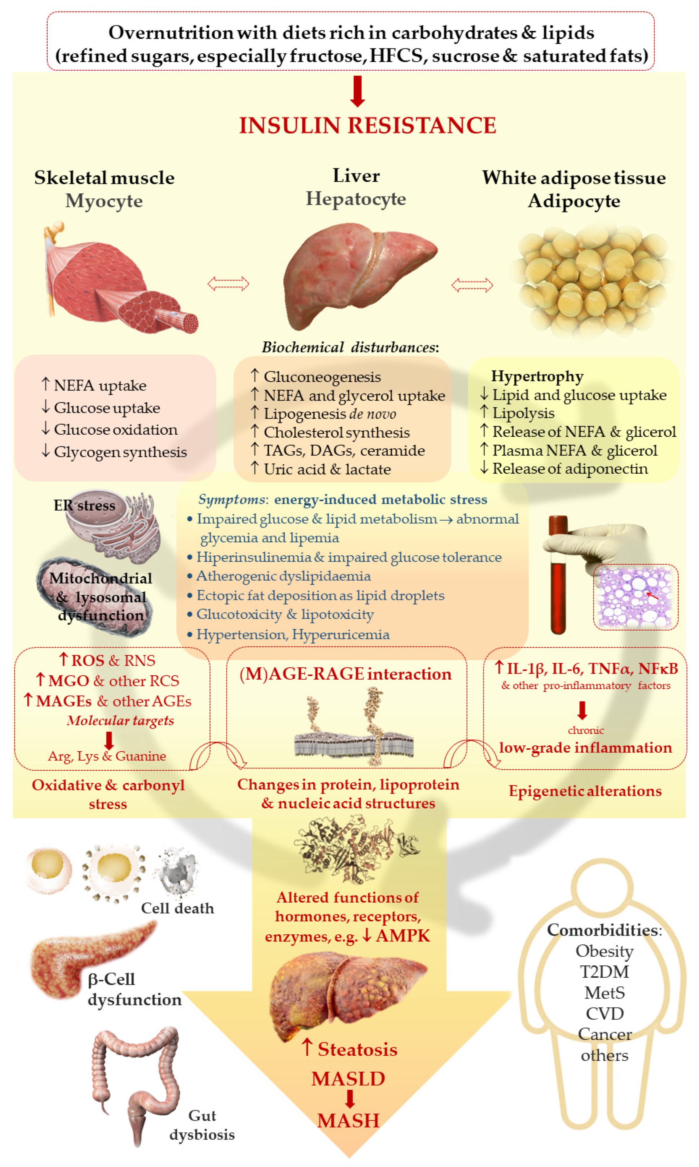 Preprints 146147 g001