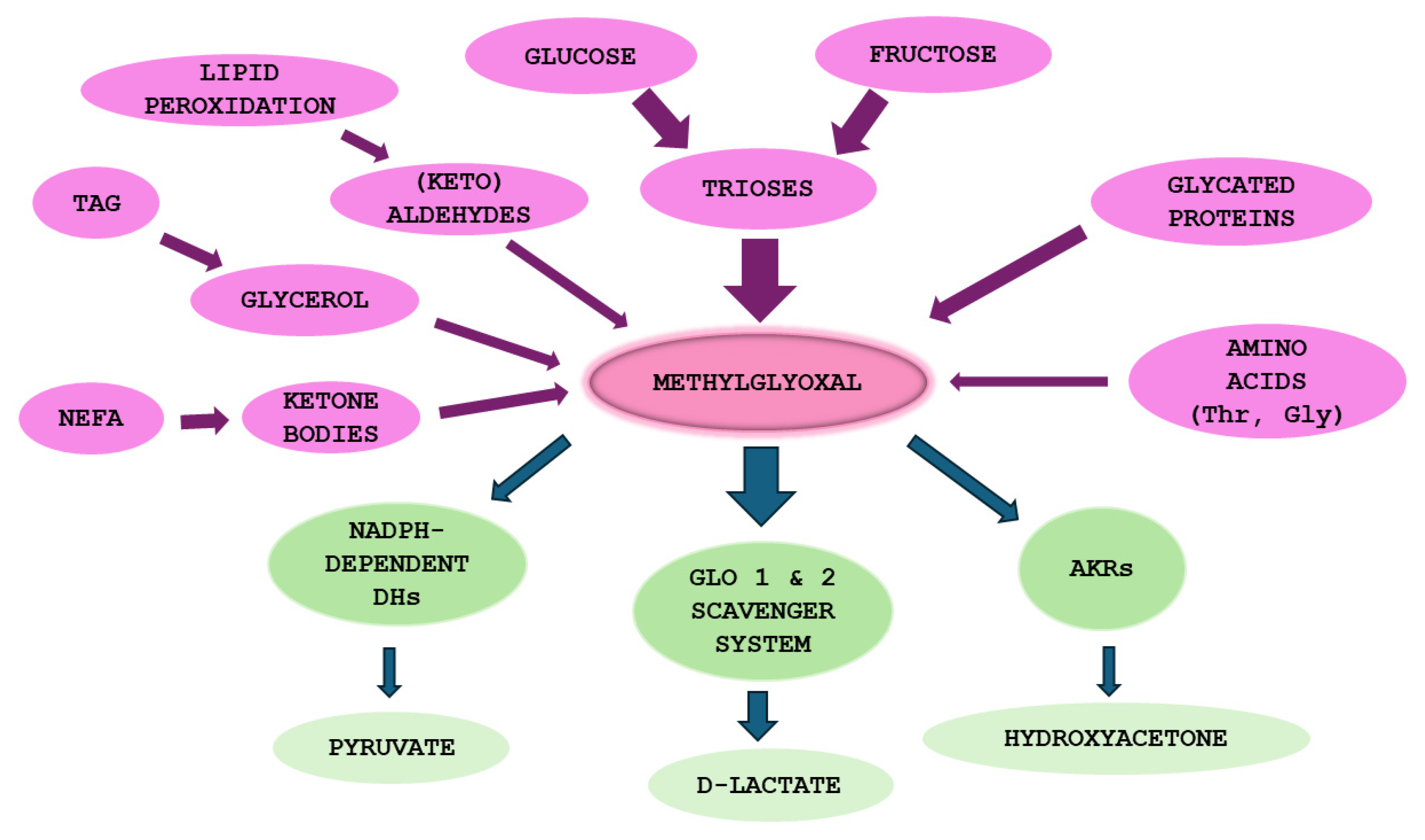 Preprints 146147 g002