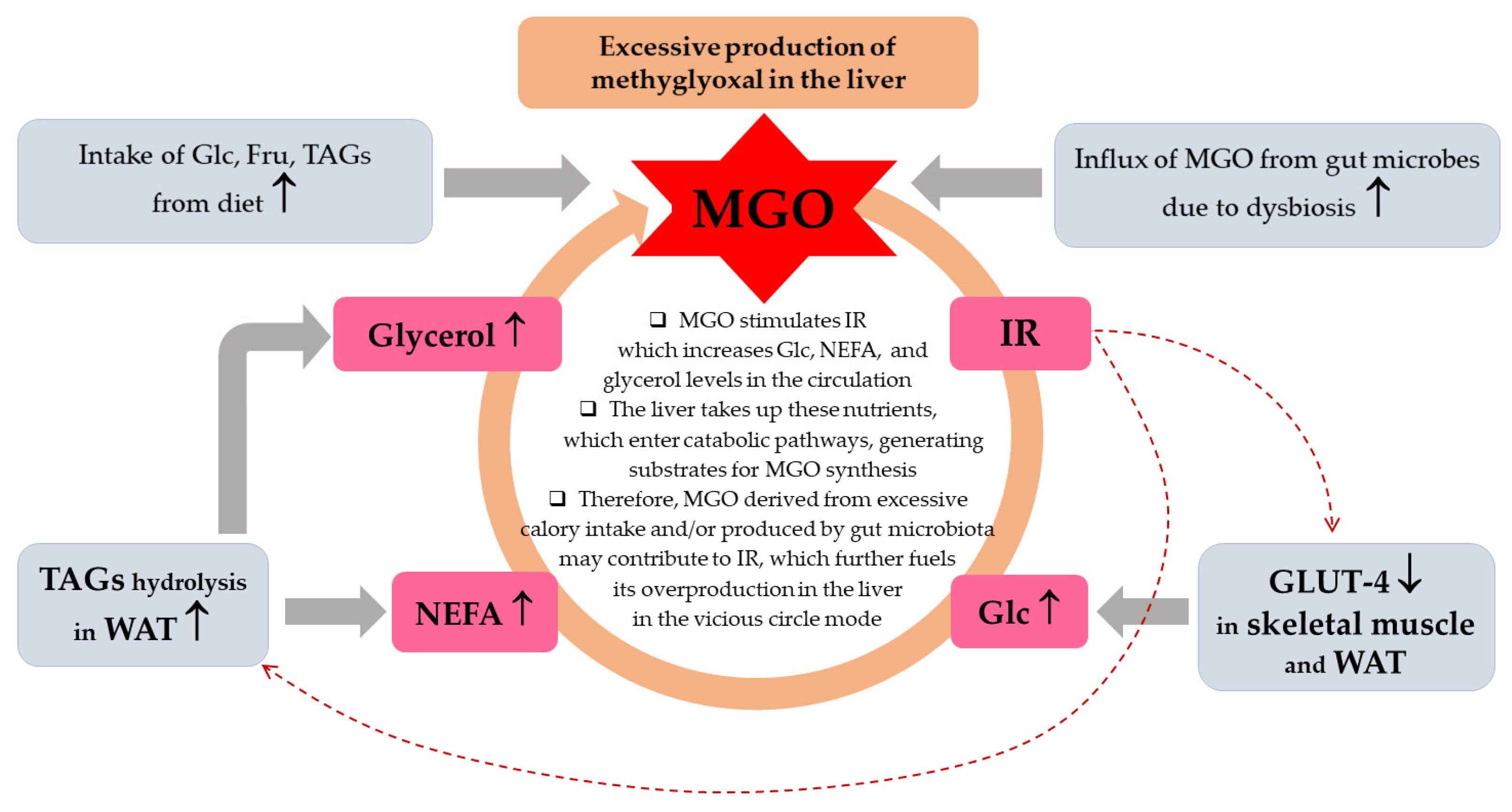 Preprints 146147 g008