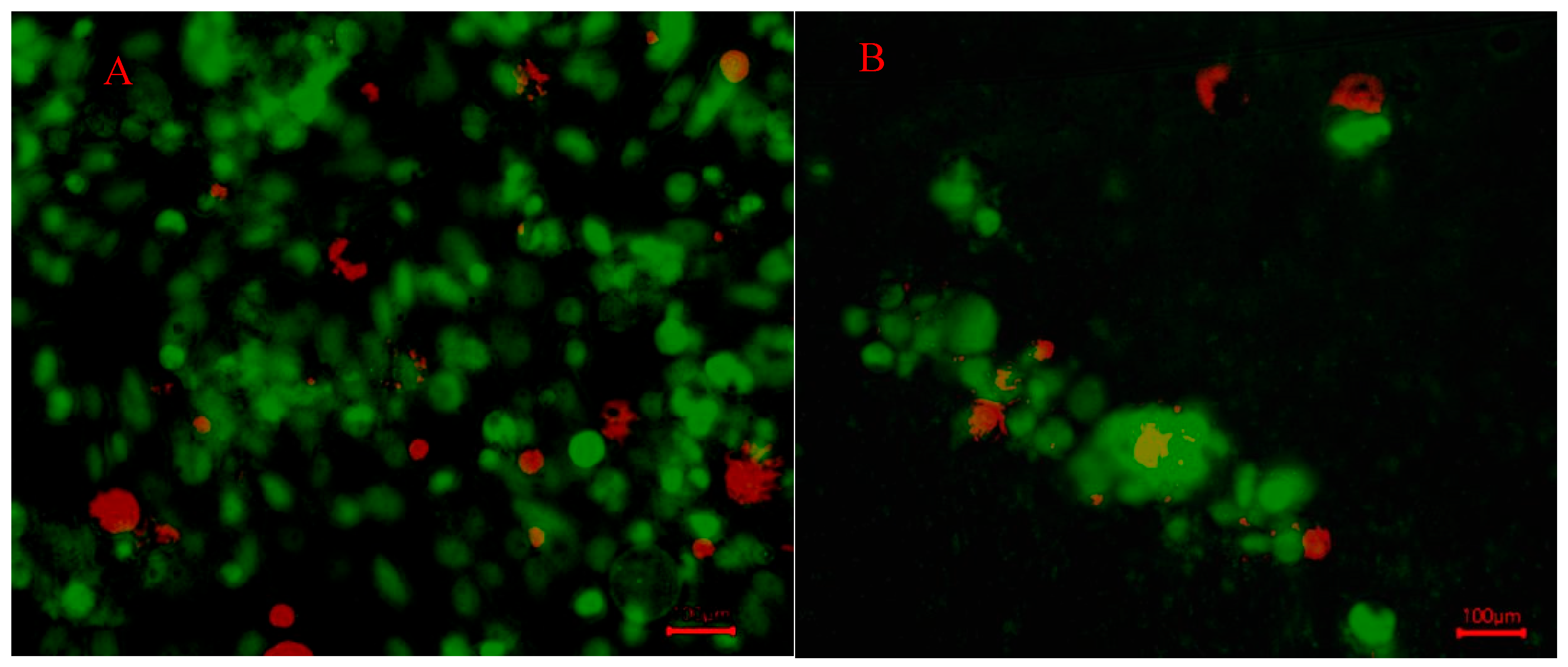Preprints 159574 g004