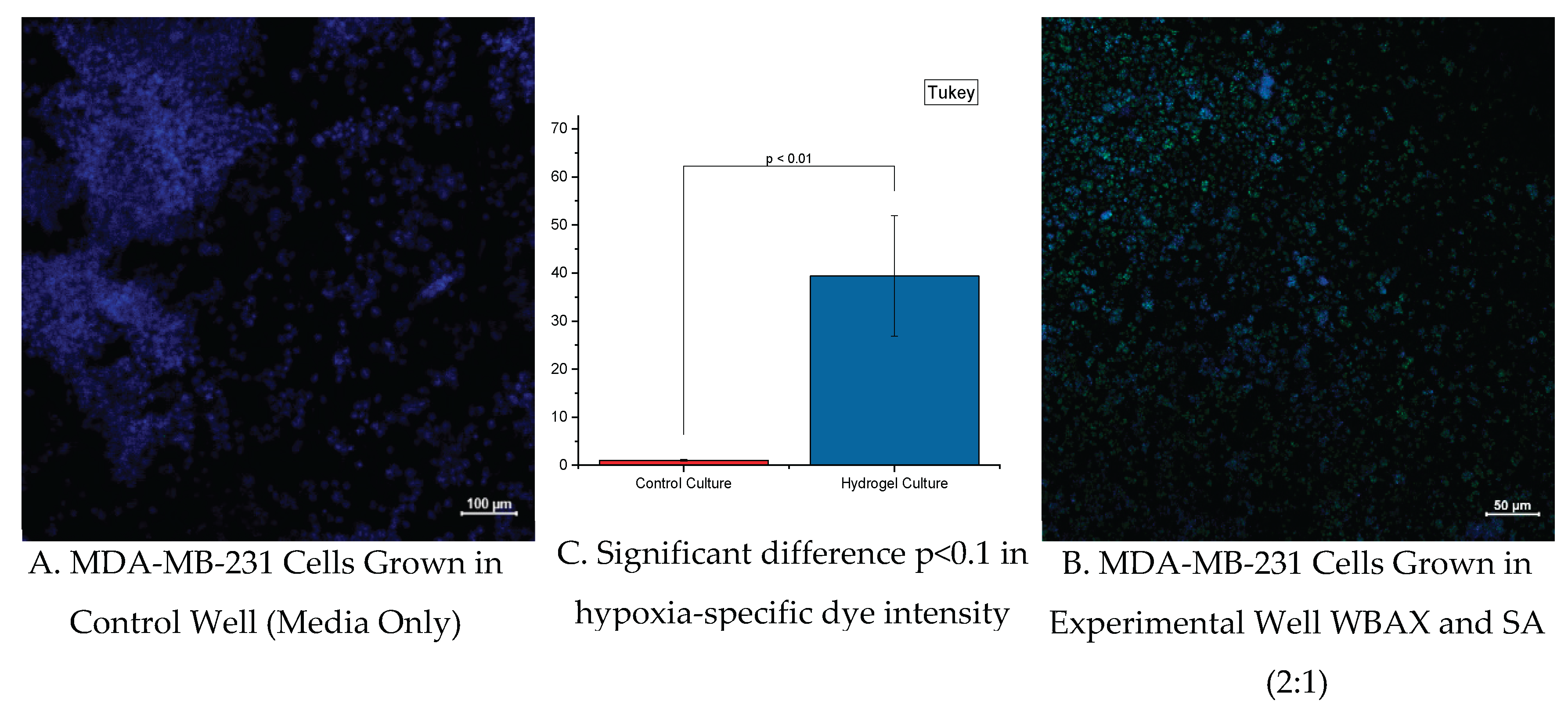 Preprints 159574 g007