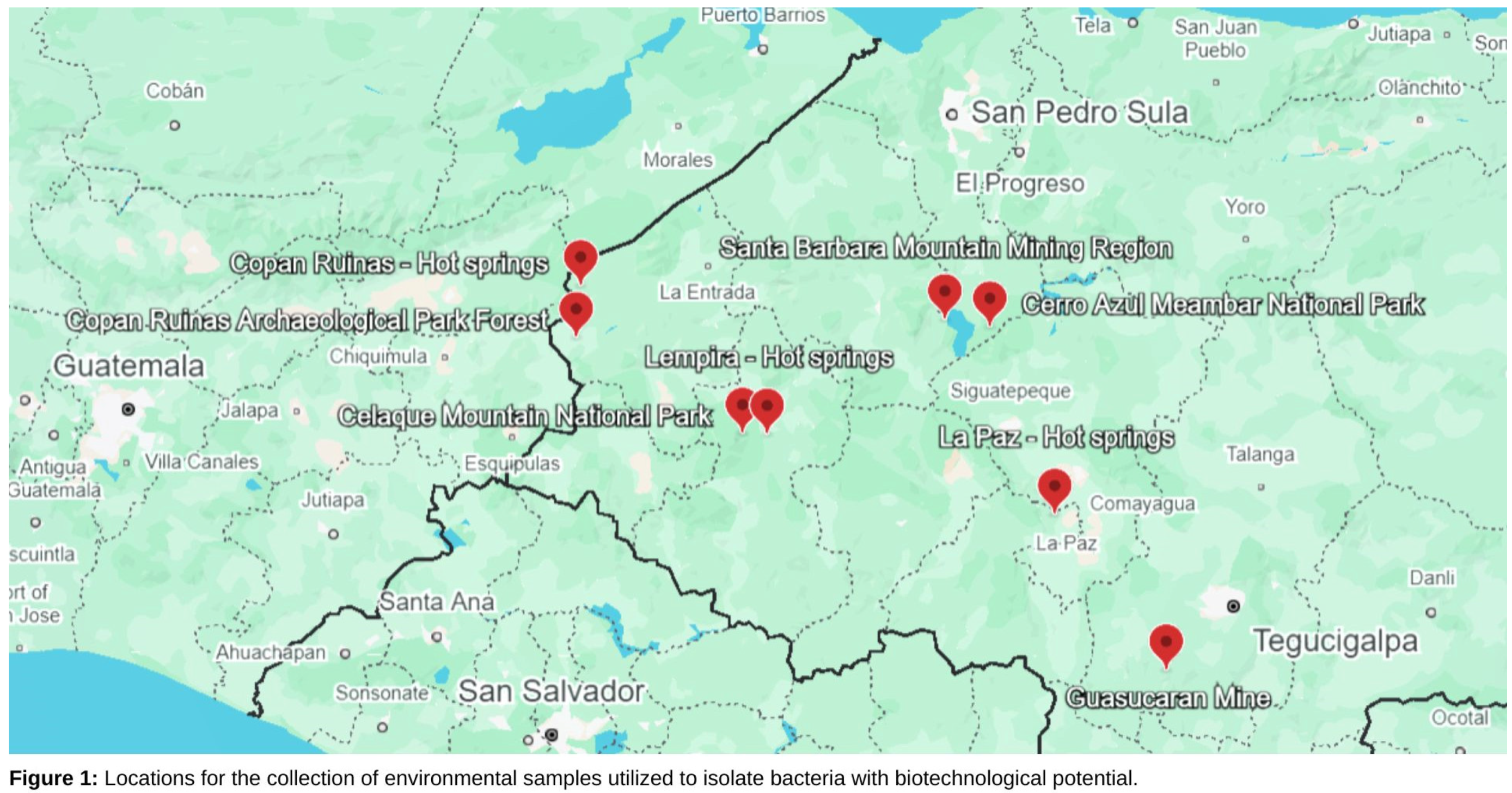 Preprints 145763 g001