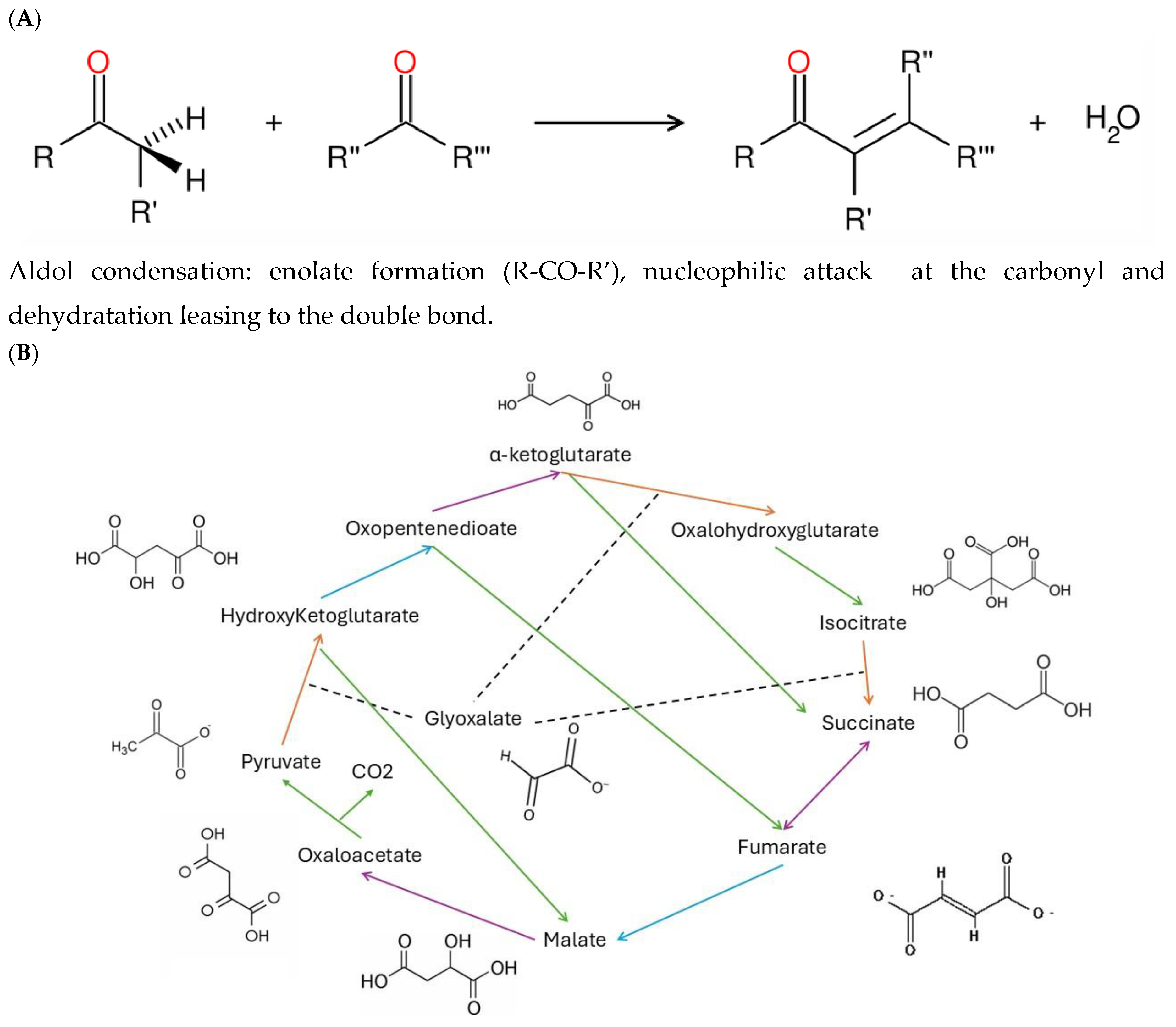 Preprints 178407 g001