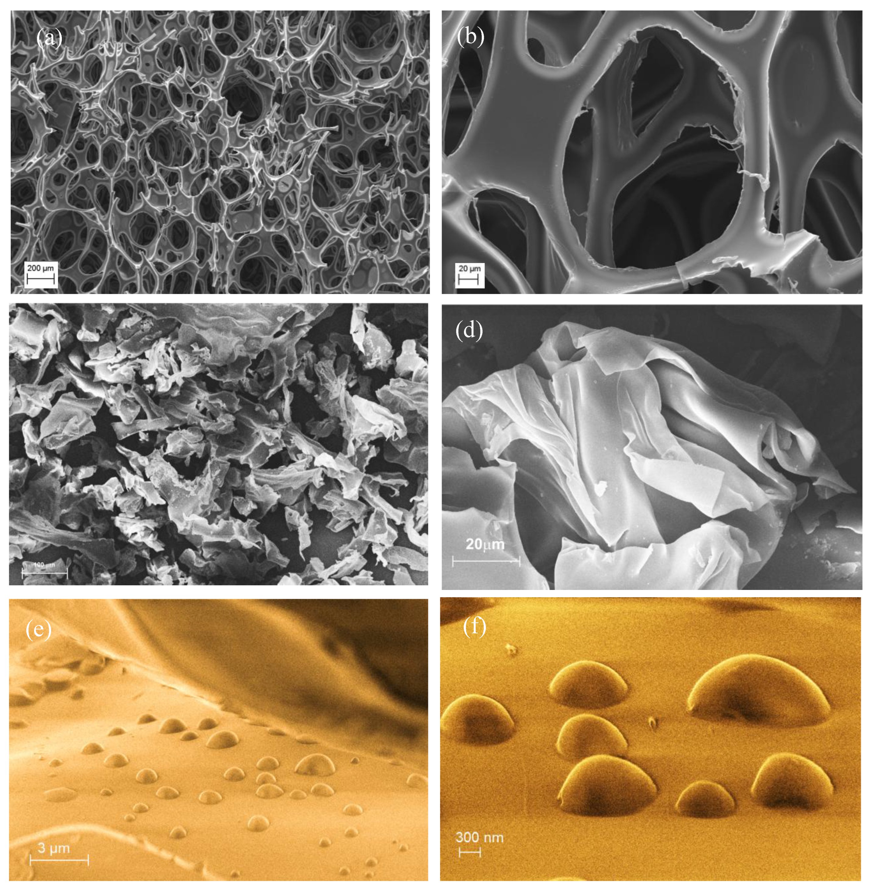 Preprints 189081 g006