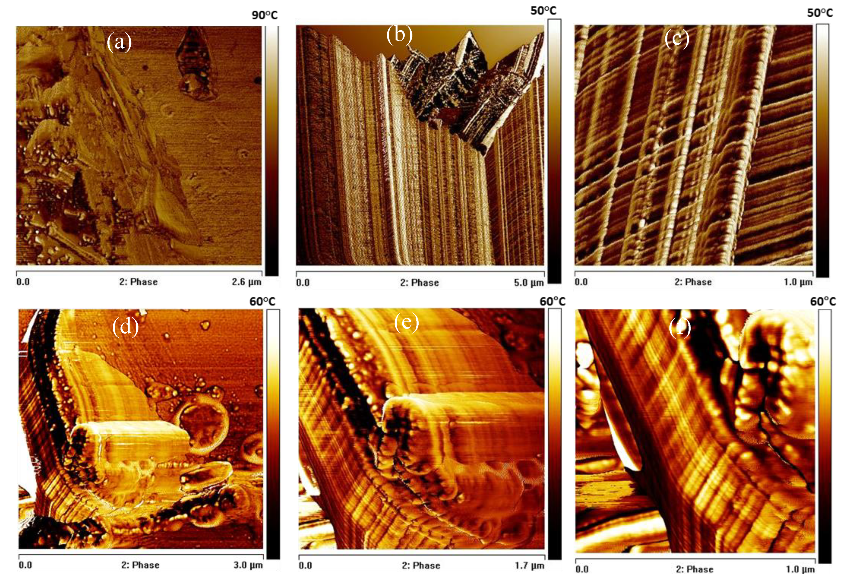 Preprints 189081 g007