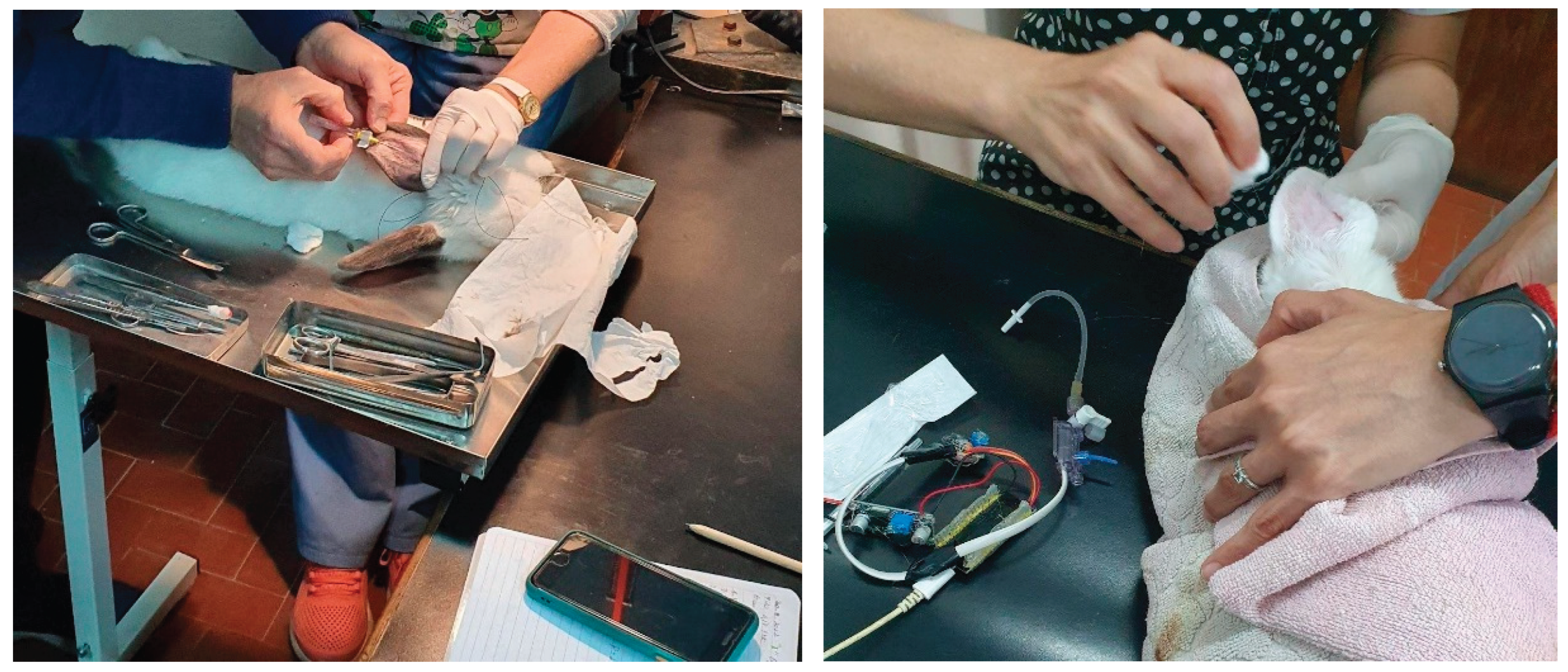 Preprints 201149 g005