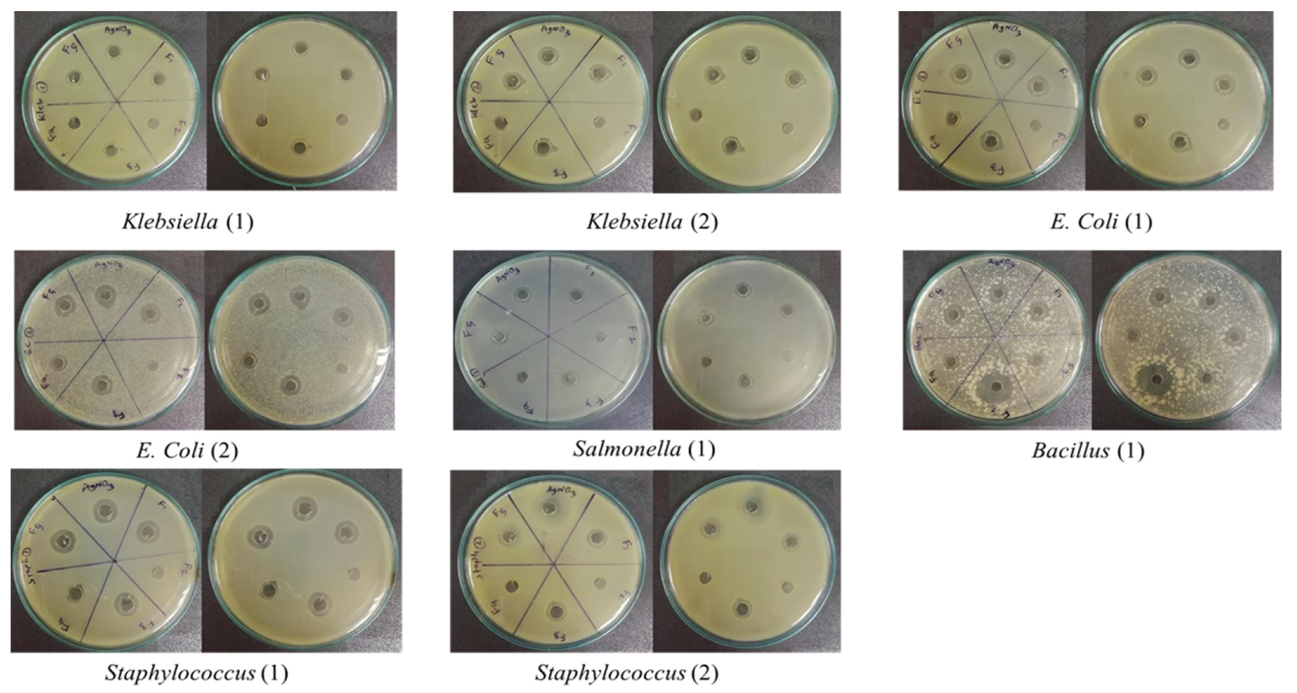 Preprints 188903 g001