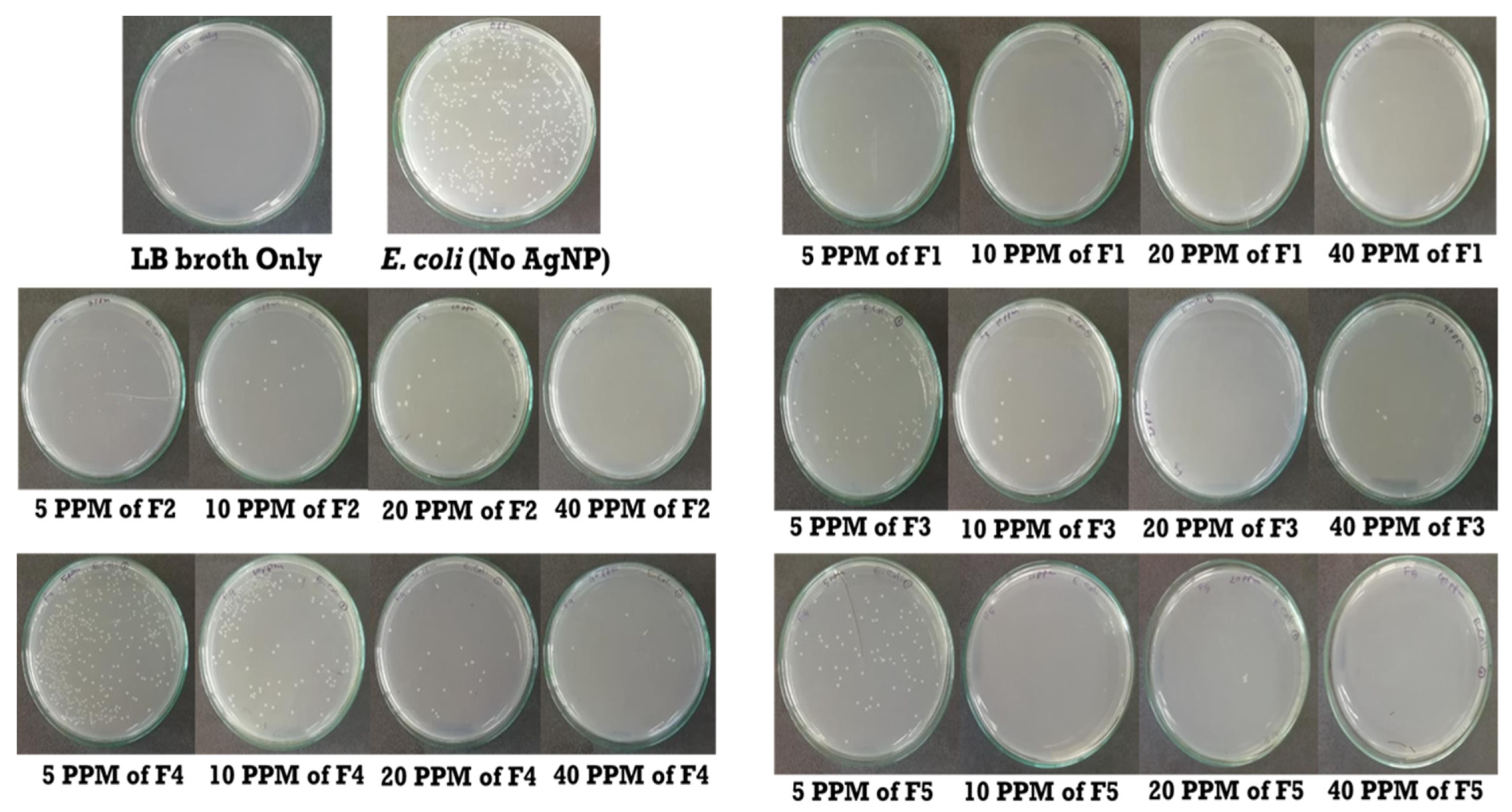 Preprints 188903 g002