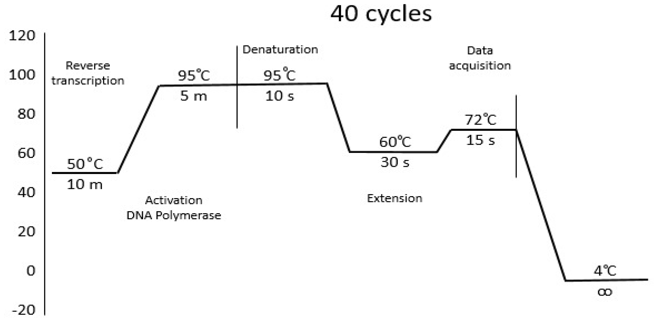 Preprints 200891 g003