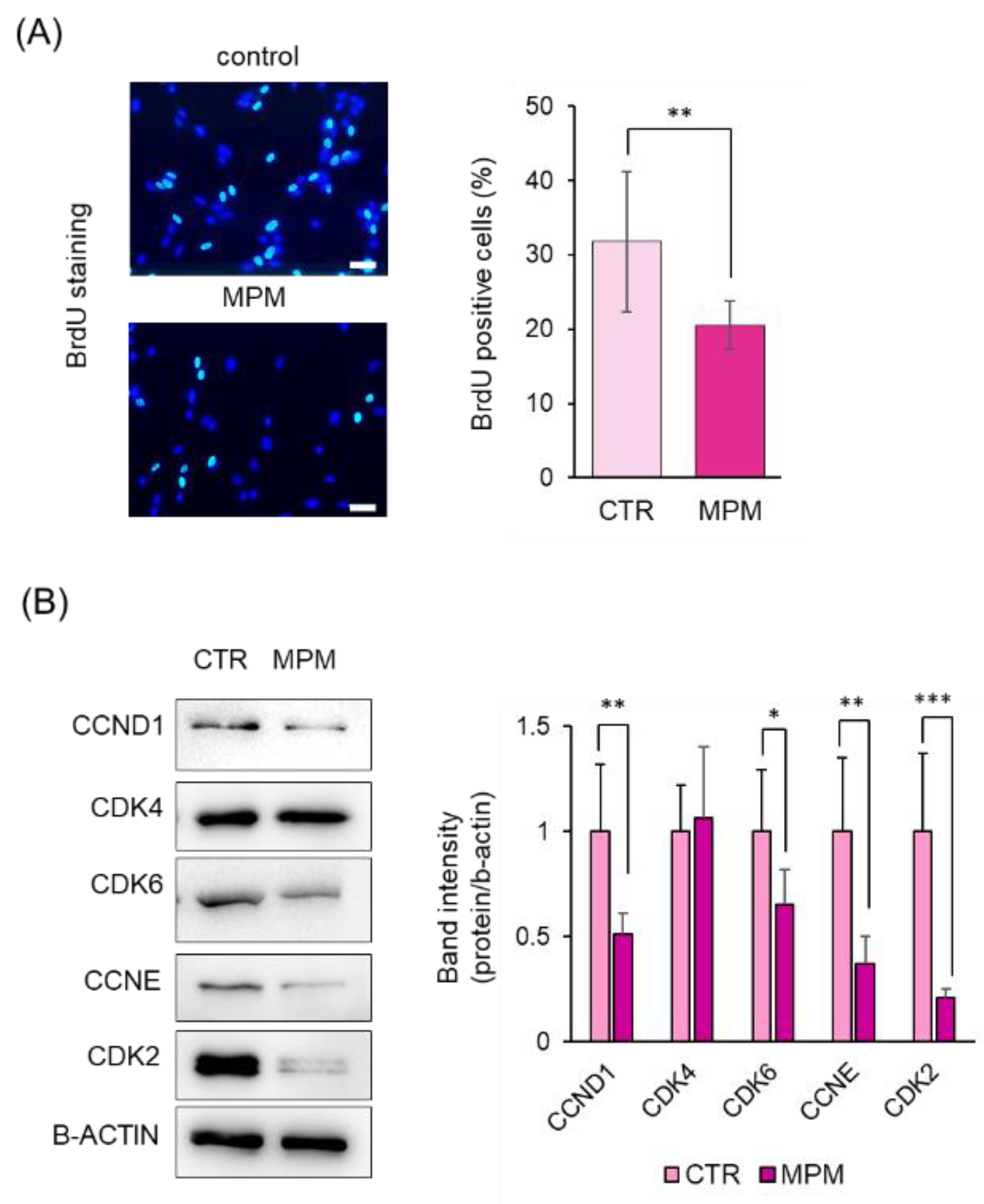 Preprints 145451 g003