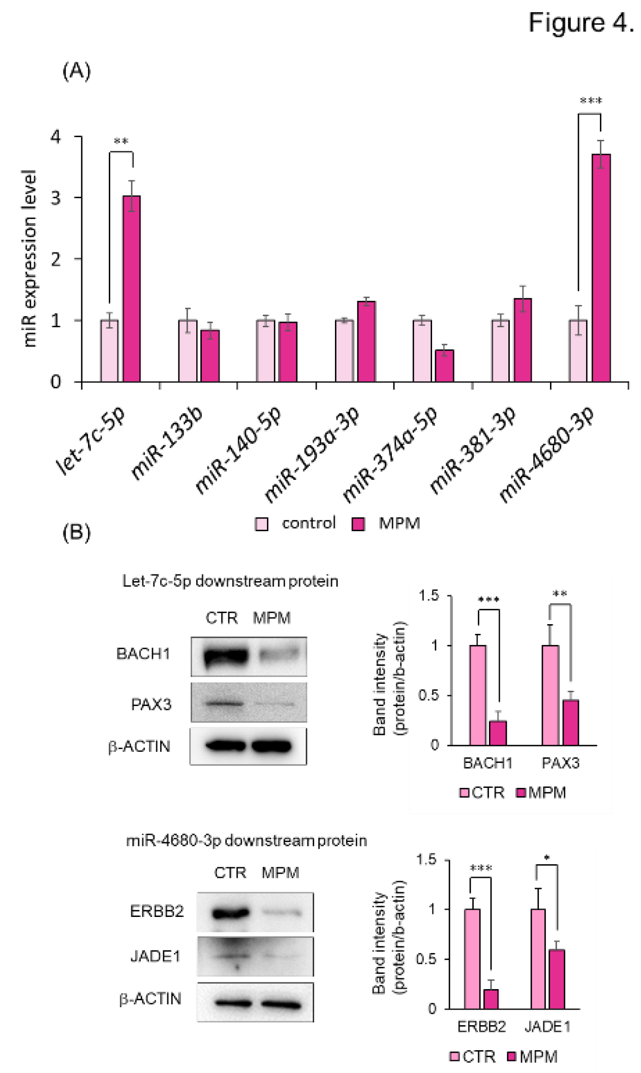 Preprints 145451 g004