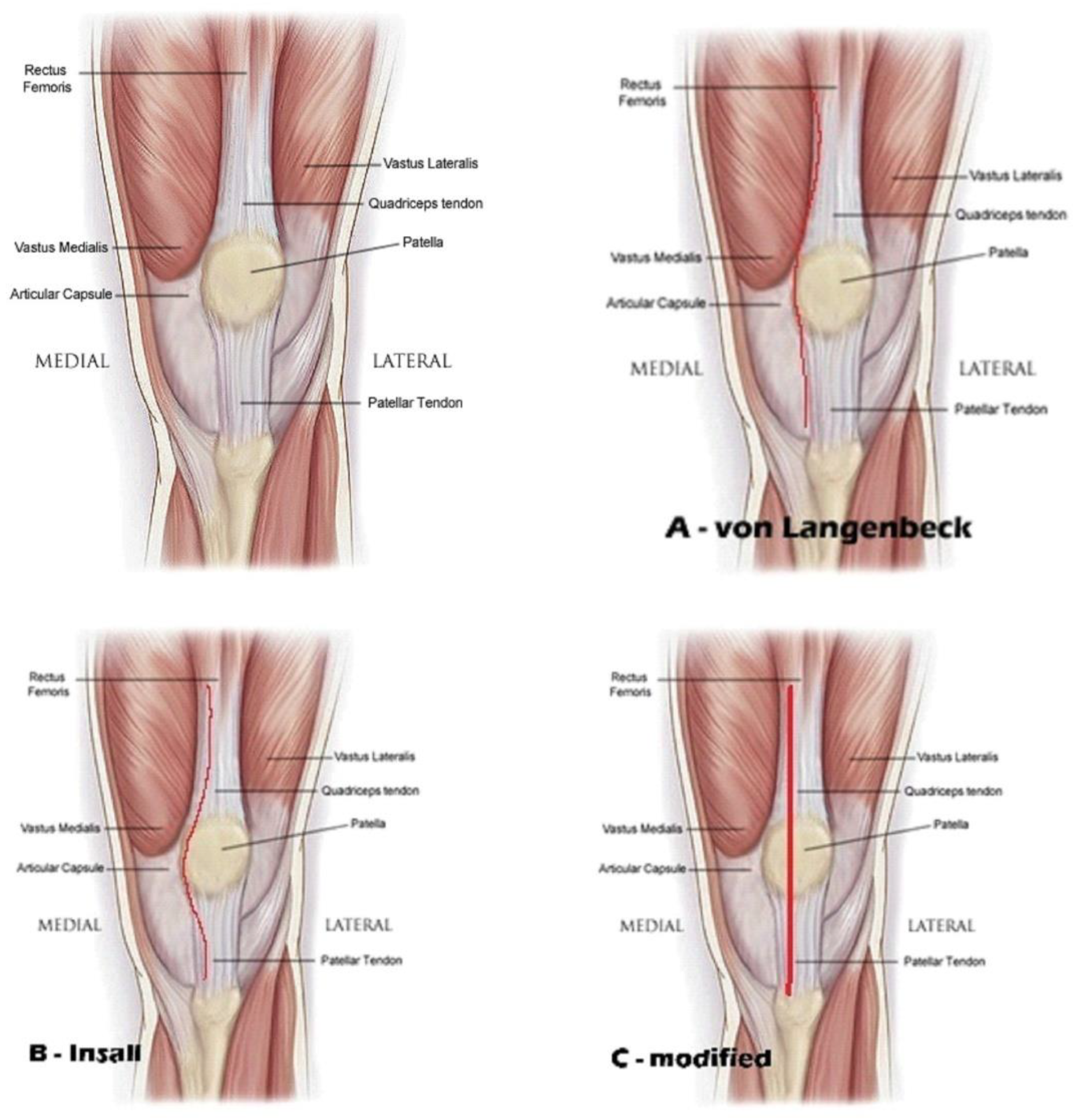 Preprints 169383 g001