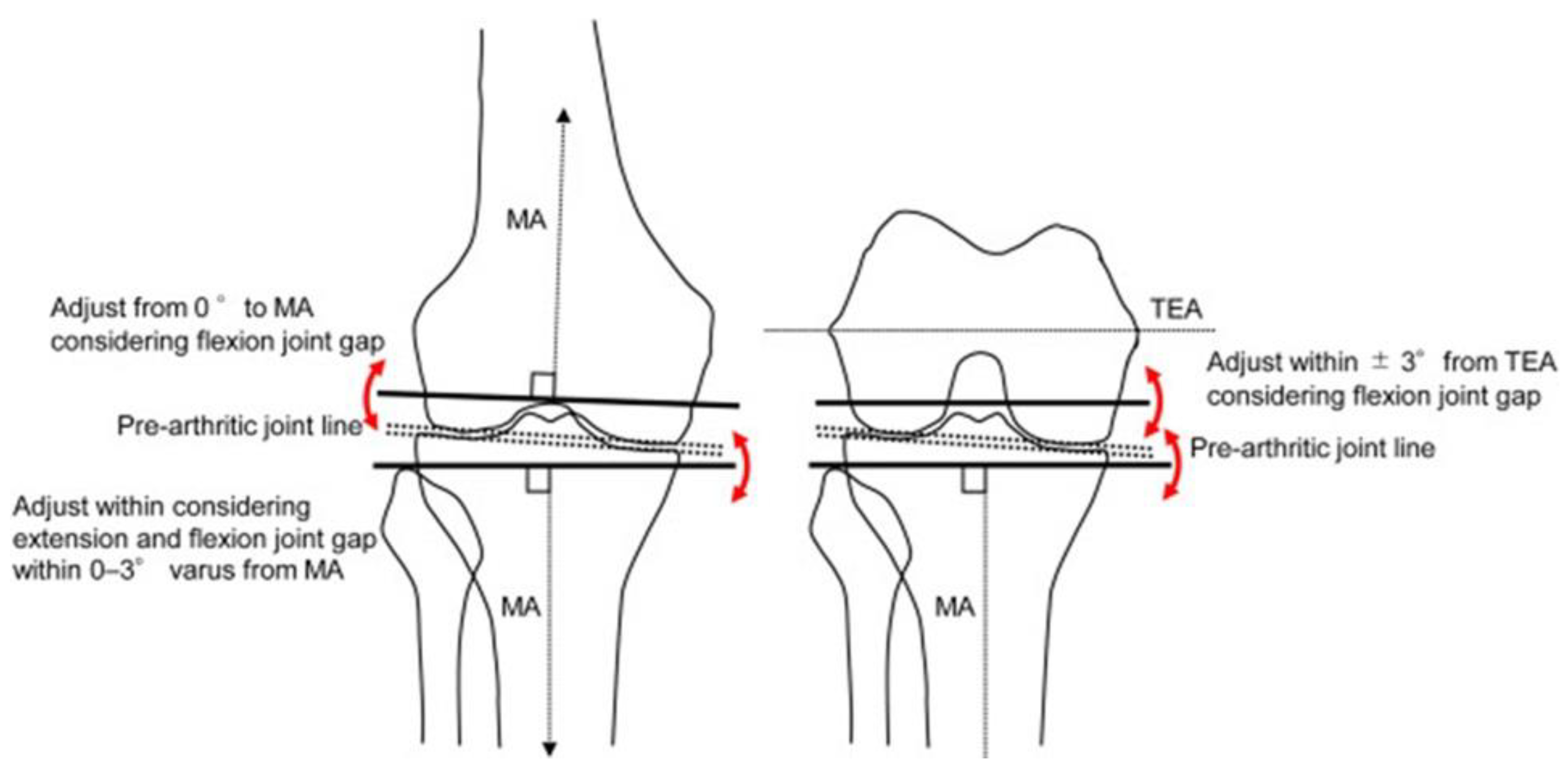 Preprints 169383 g003