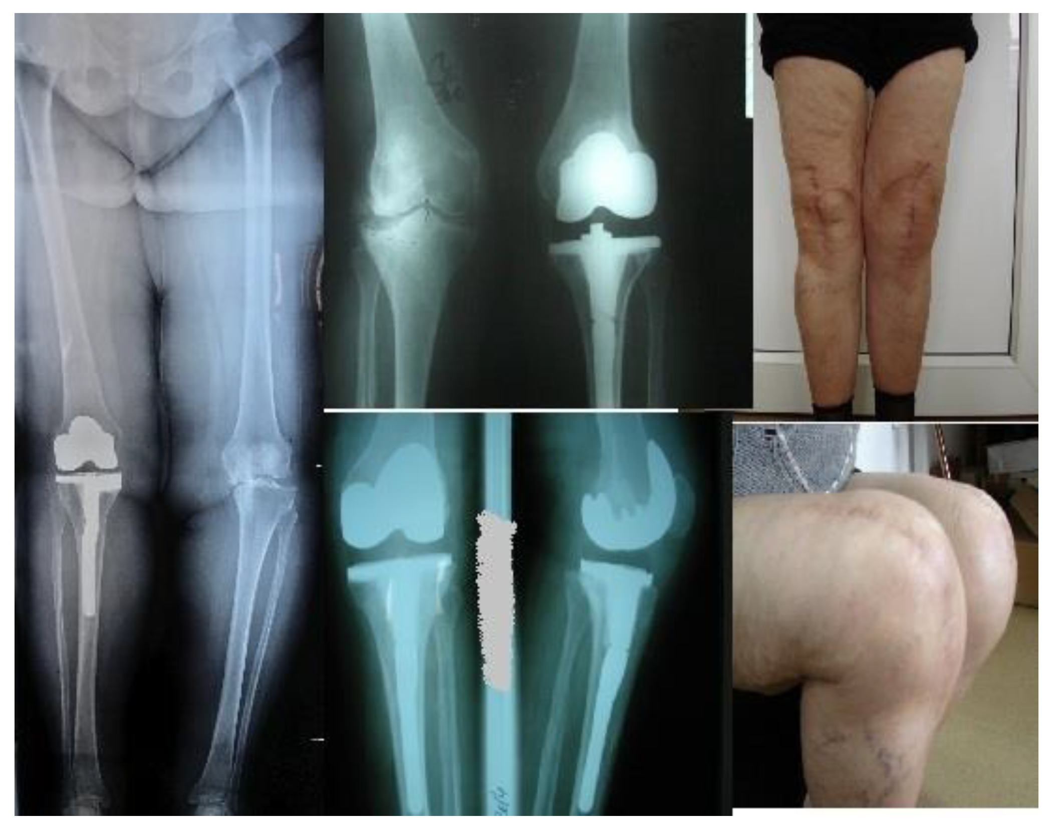 Preprints 169383 g005