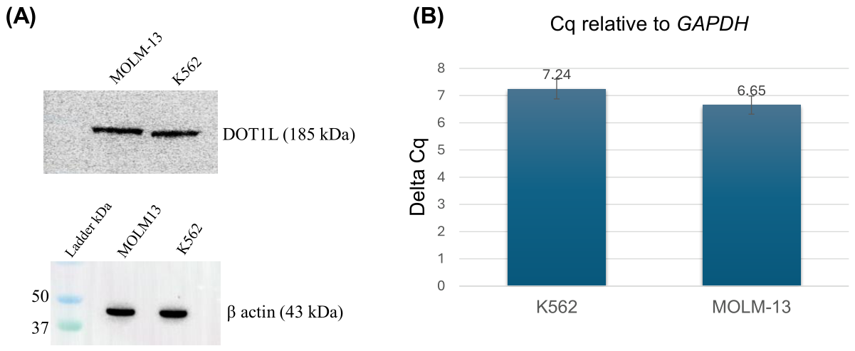 Preprints 218166 g004 Preprints 218166 g004