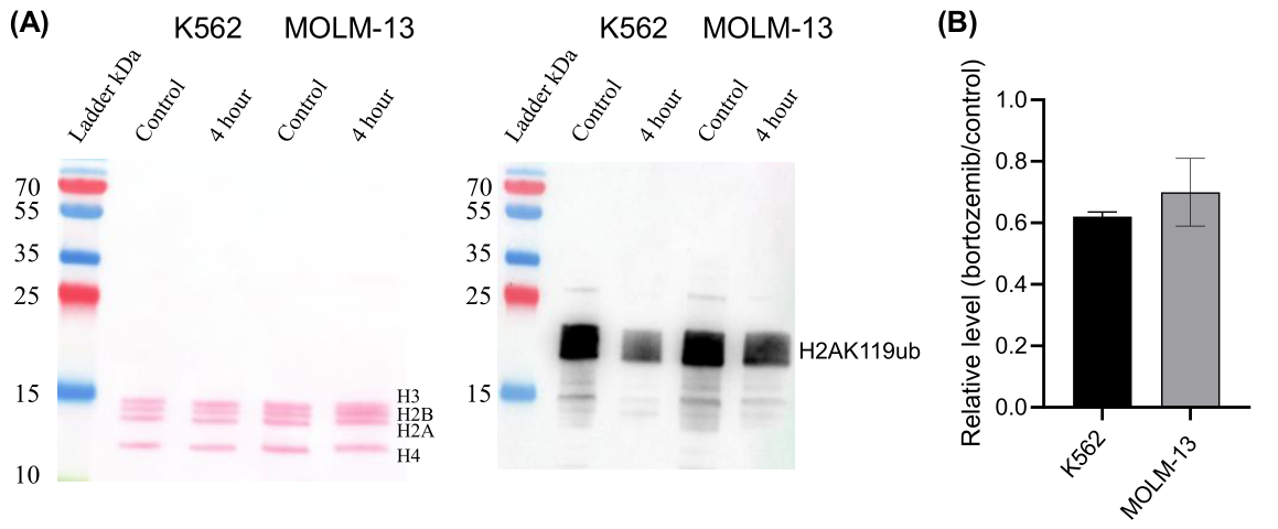 Preprints 218166 g006 Preprints 218166 g006