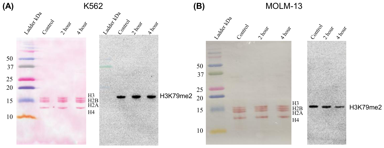 Preprints 218166 g008 Preprints 218166 g008