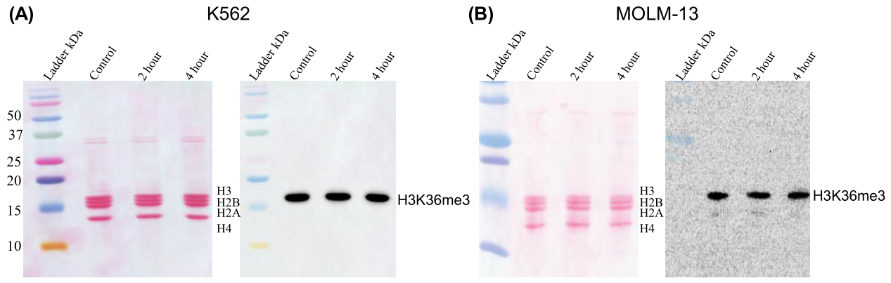 Preprints 218166 g009 Preprints 218166 g009