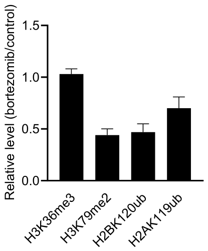 Preprints 218166 g010 Preprints 218166 g010