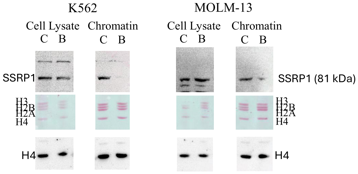 Preprints 218166 g012 Preprints 218166 g012