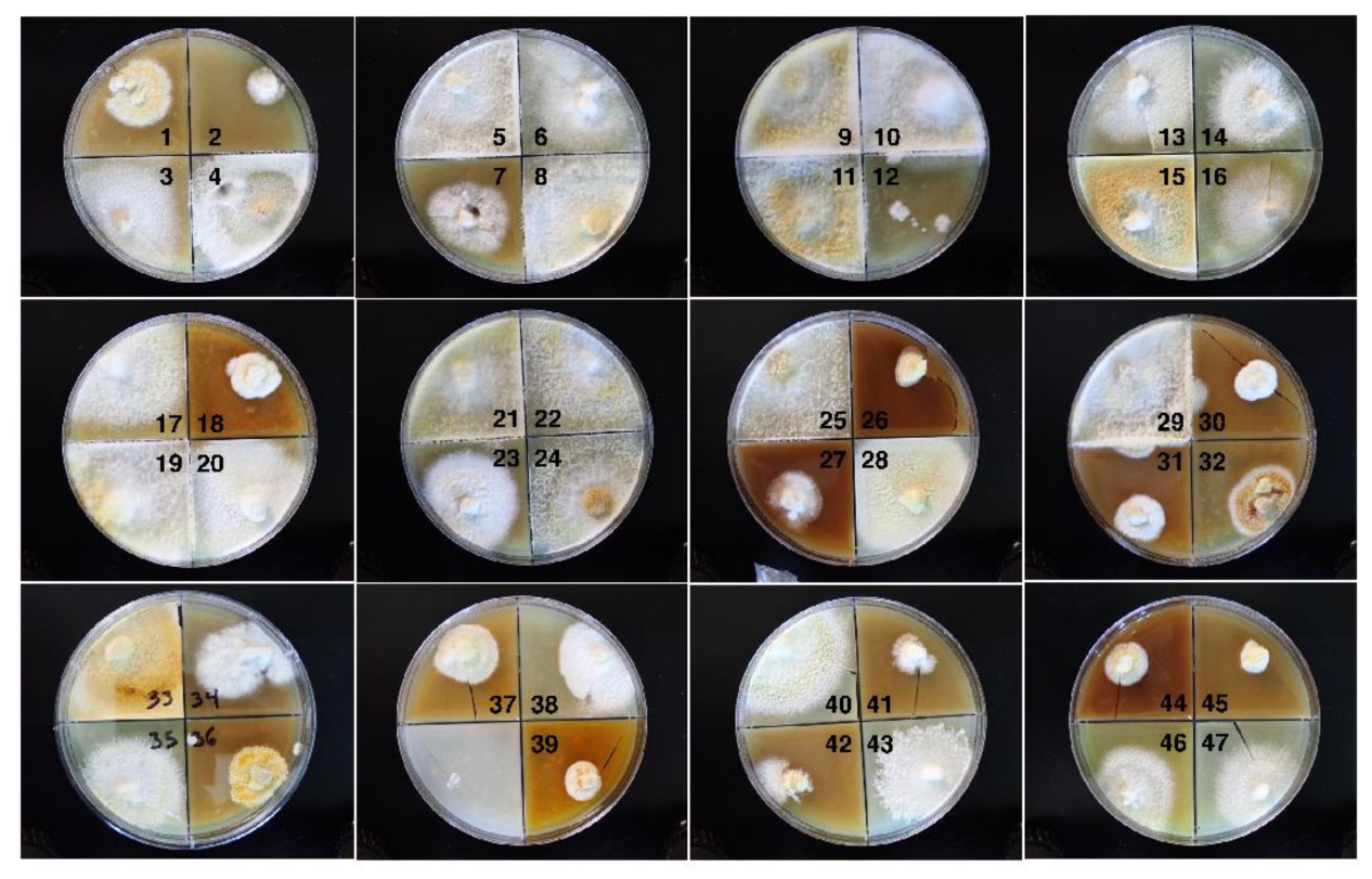 Preprints 143709 g002