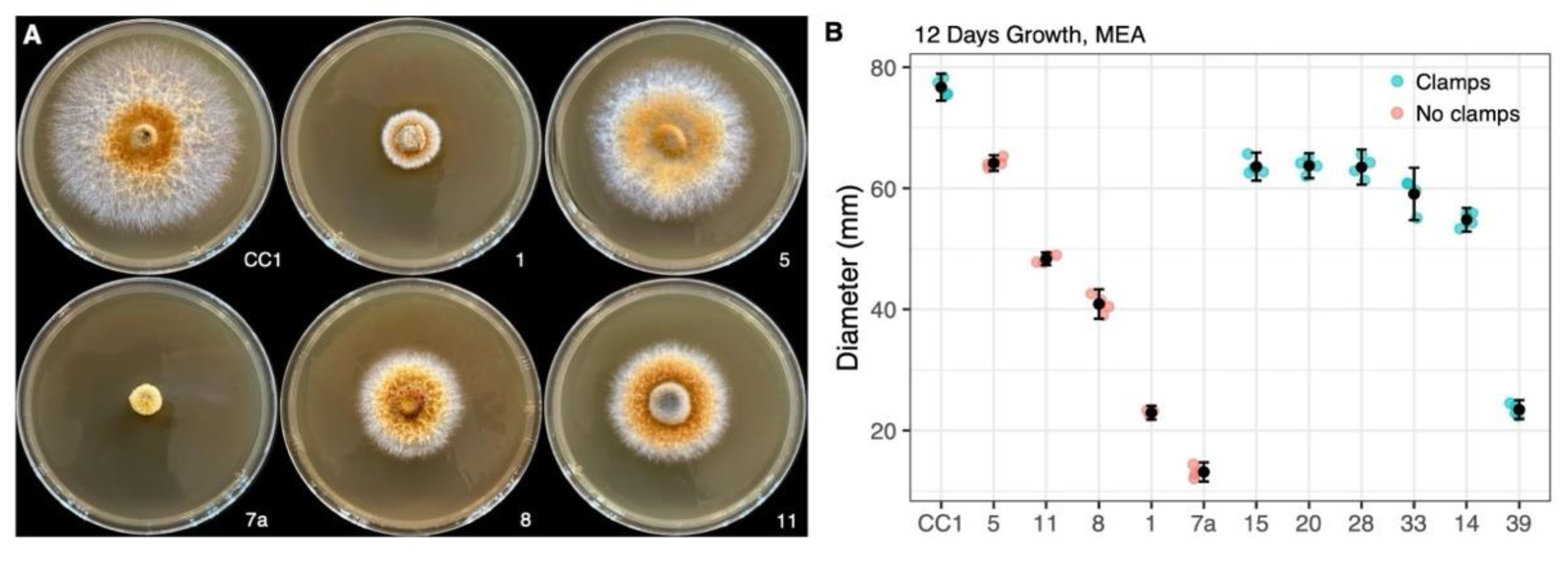 Preprints 143709 g003