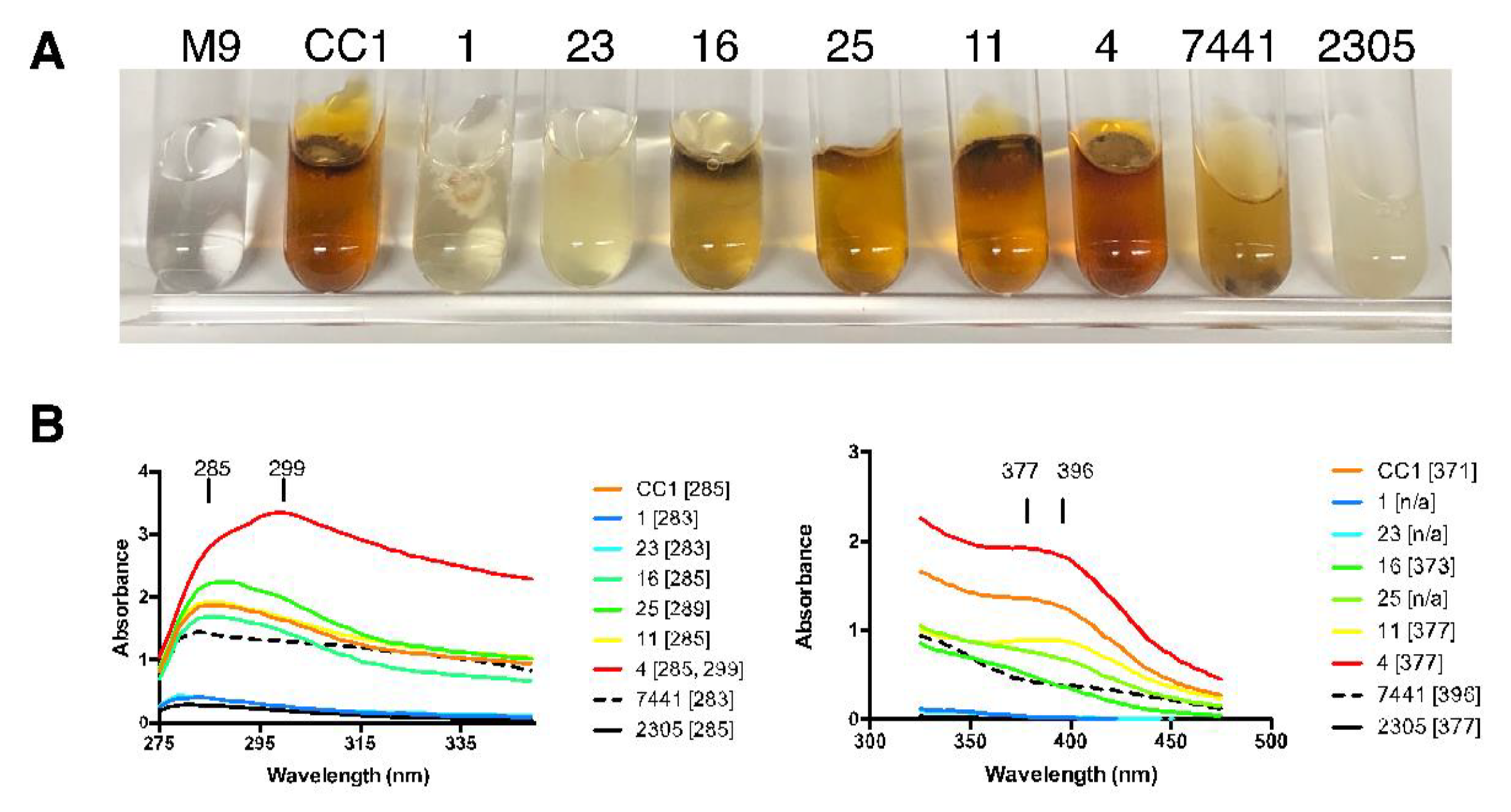 Preprints 143709 g005