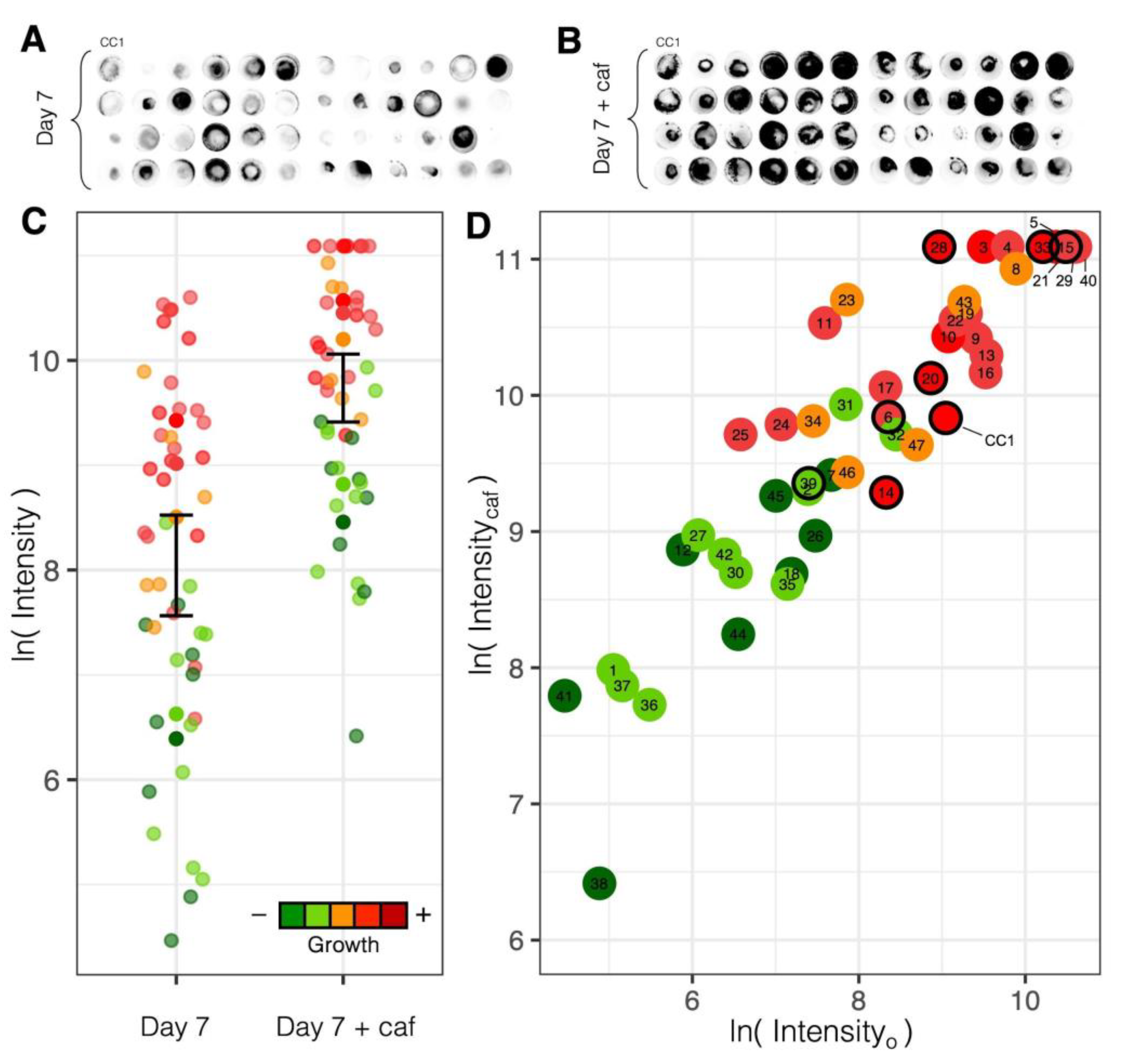 Preprints 143709 g006