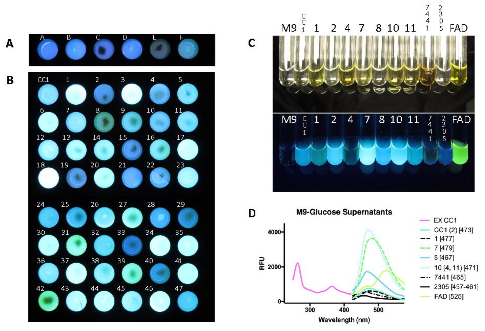 Preprints 143709 g007